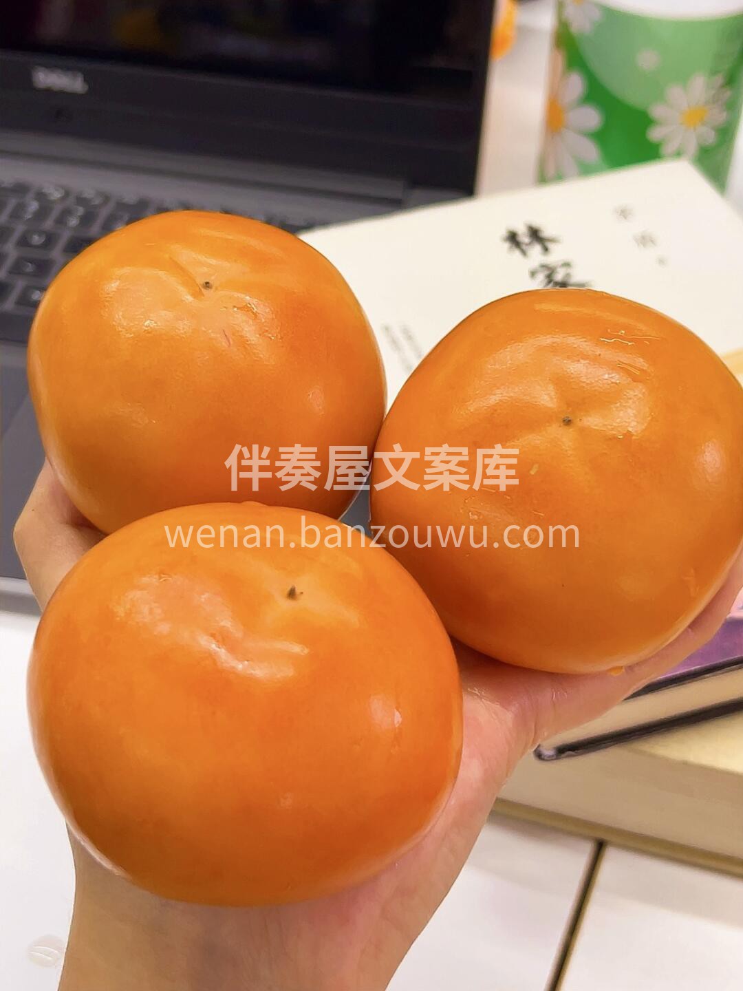 秋季解渴降澡，吃它🙋 秋天就是要吃柿子呀 配图3