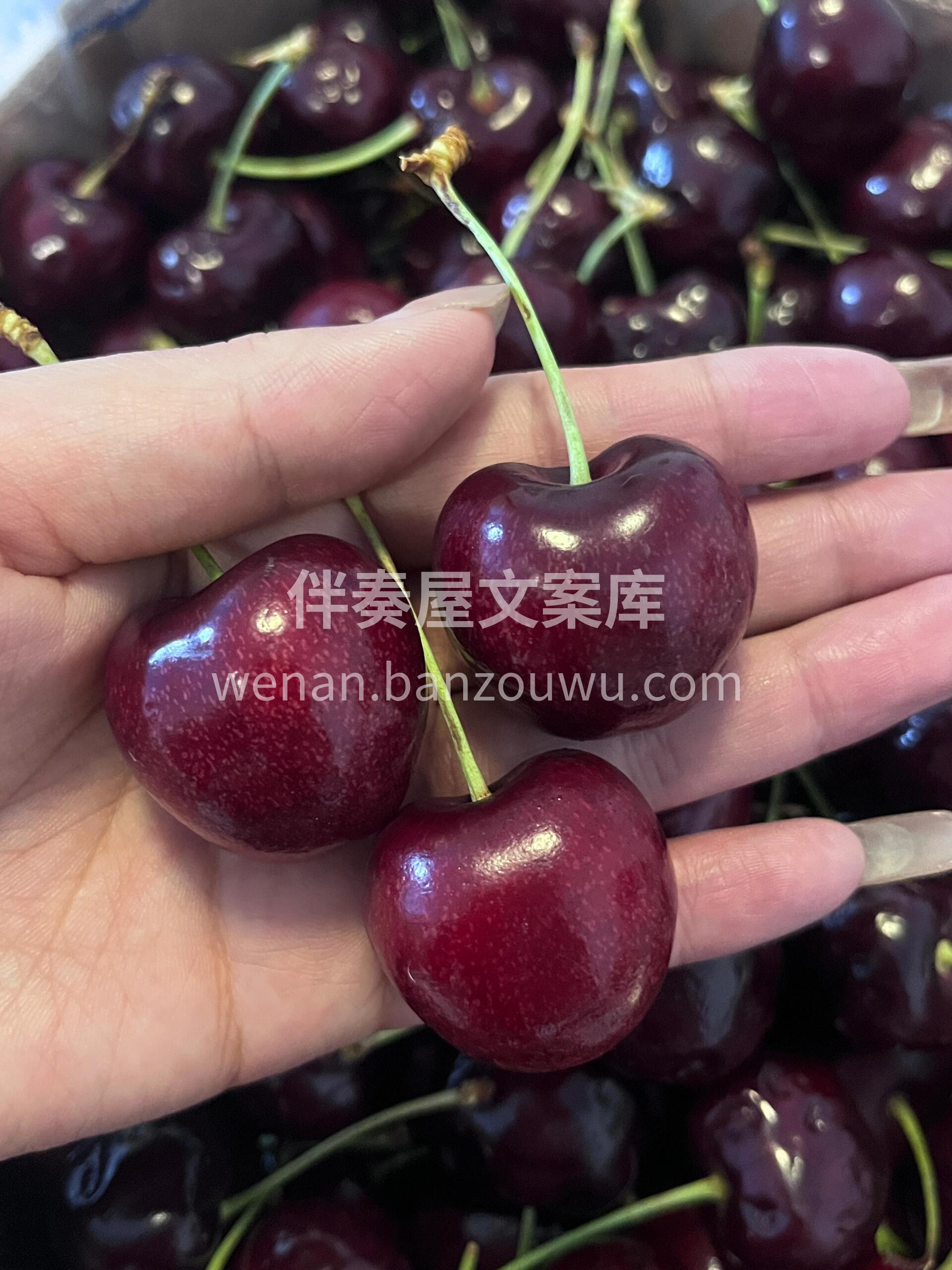 贼甜贼甜的大车厘子🍒，口感无敌了😍夏天吃 配图1