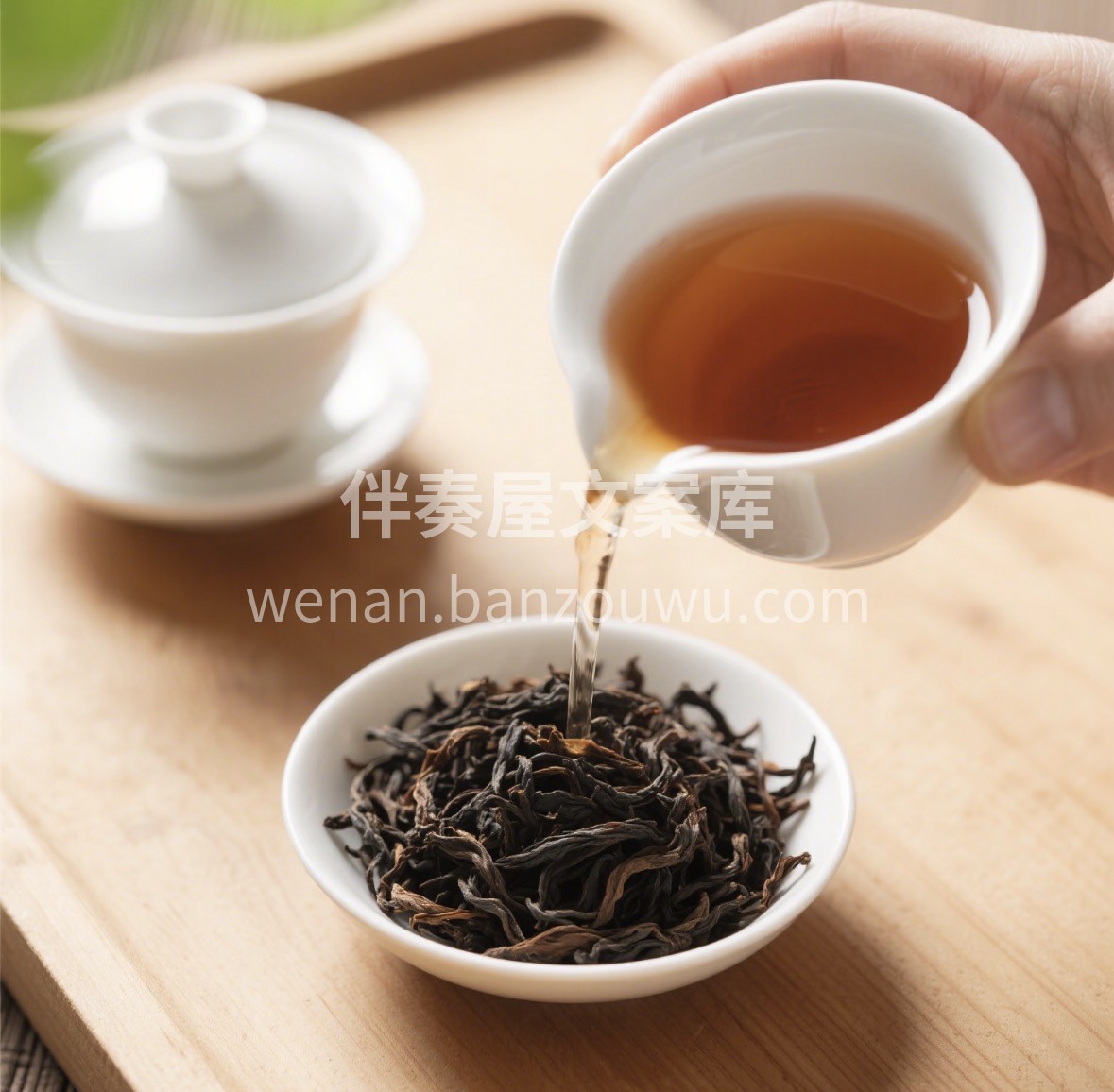 🎁新春茶礼选正山小种🍵 武夷核心产区，松 配图1