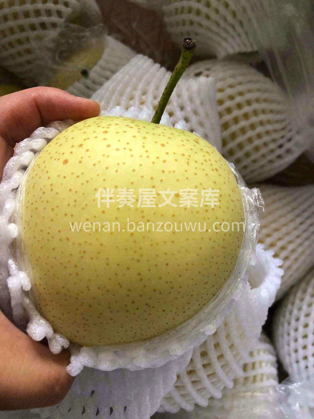 ?洁白如玉的梨肉混合着甜甜的汁水?，瞬间 配图1