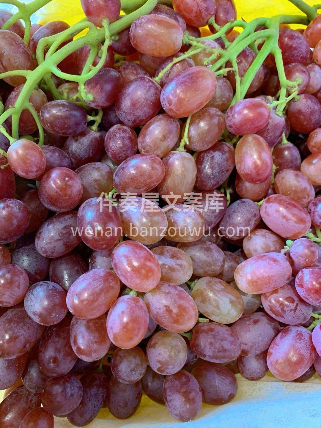 🍇克伦生红提，皮薄无核，个头如拇指般大👍 配图1