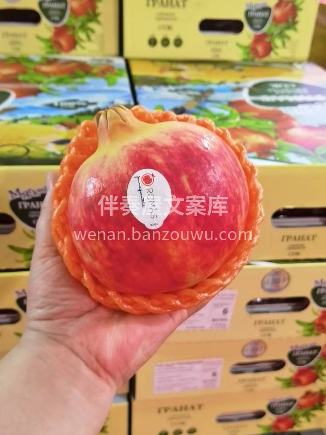IPAHAT俄版软籽石榴 ～突尼斯软籽石 配图1