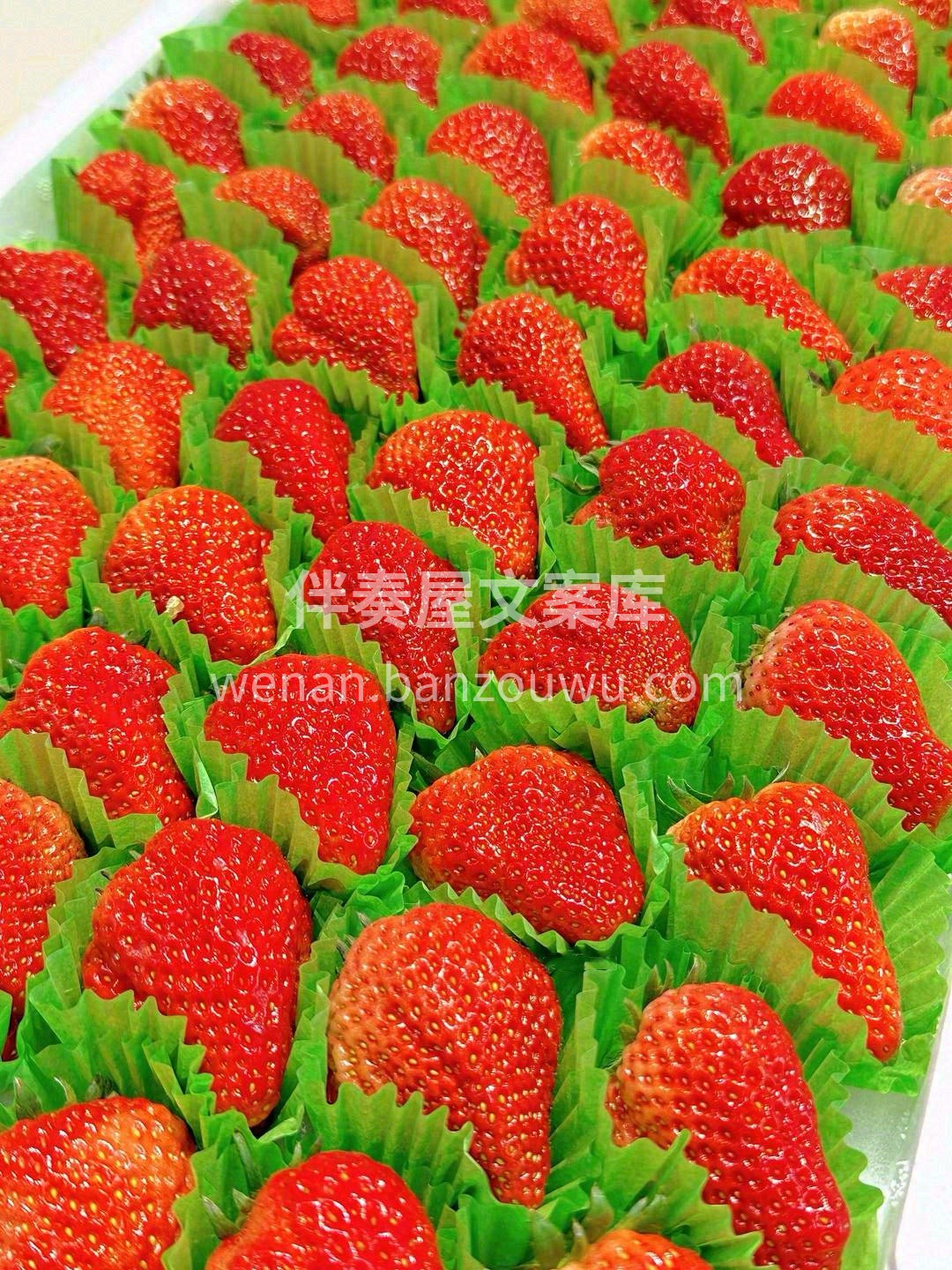 🍓凉凉的，甜甜的~ 仿佛拨动了心底深处那 配图2