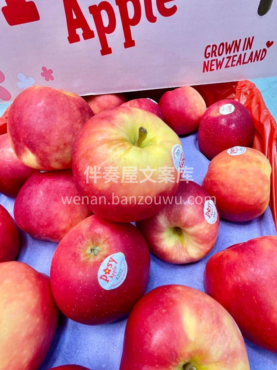 新西兰 • 有机小花苹果🍎新货到 淡淡的 配图2