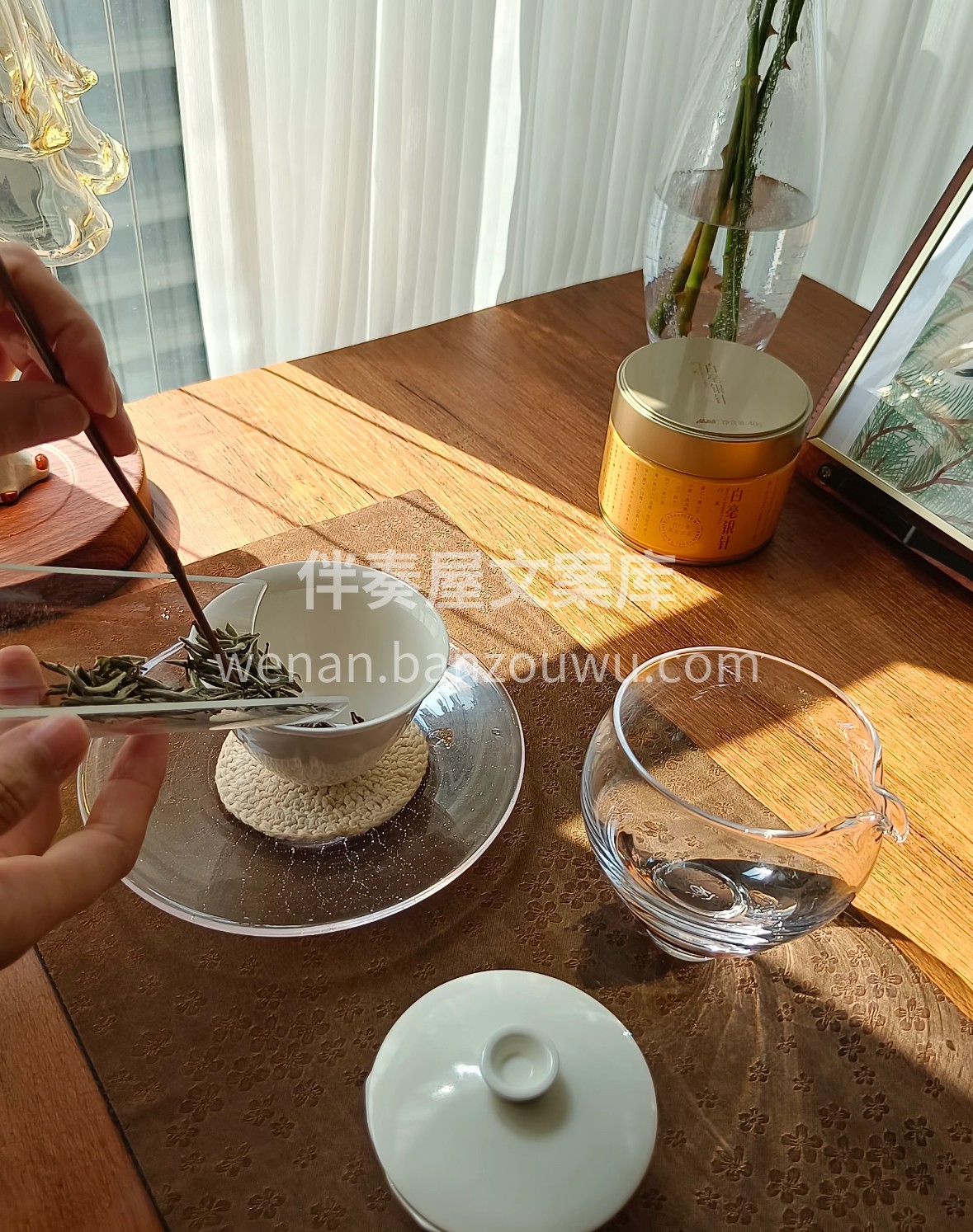 不揉不捻，自然天成，白毫银针藏着最本真的 配图1