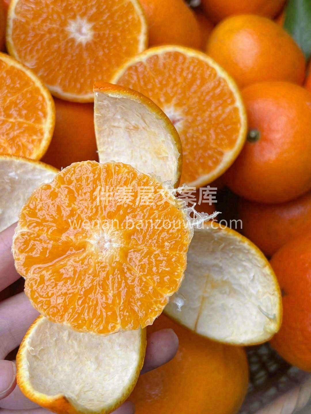 🍊柑橘顶流，甜蜜沃柑 入口轻轻一咬👄果粒 配图1