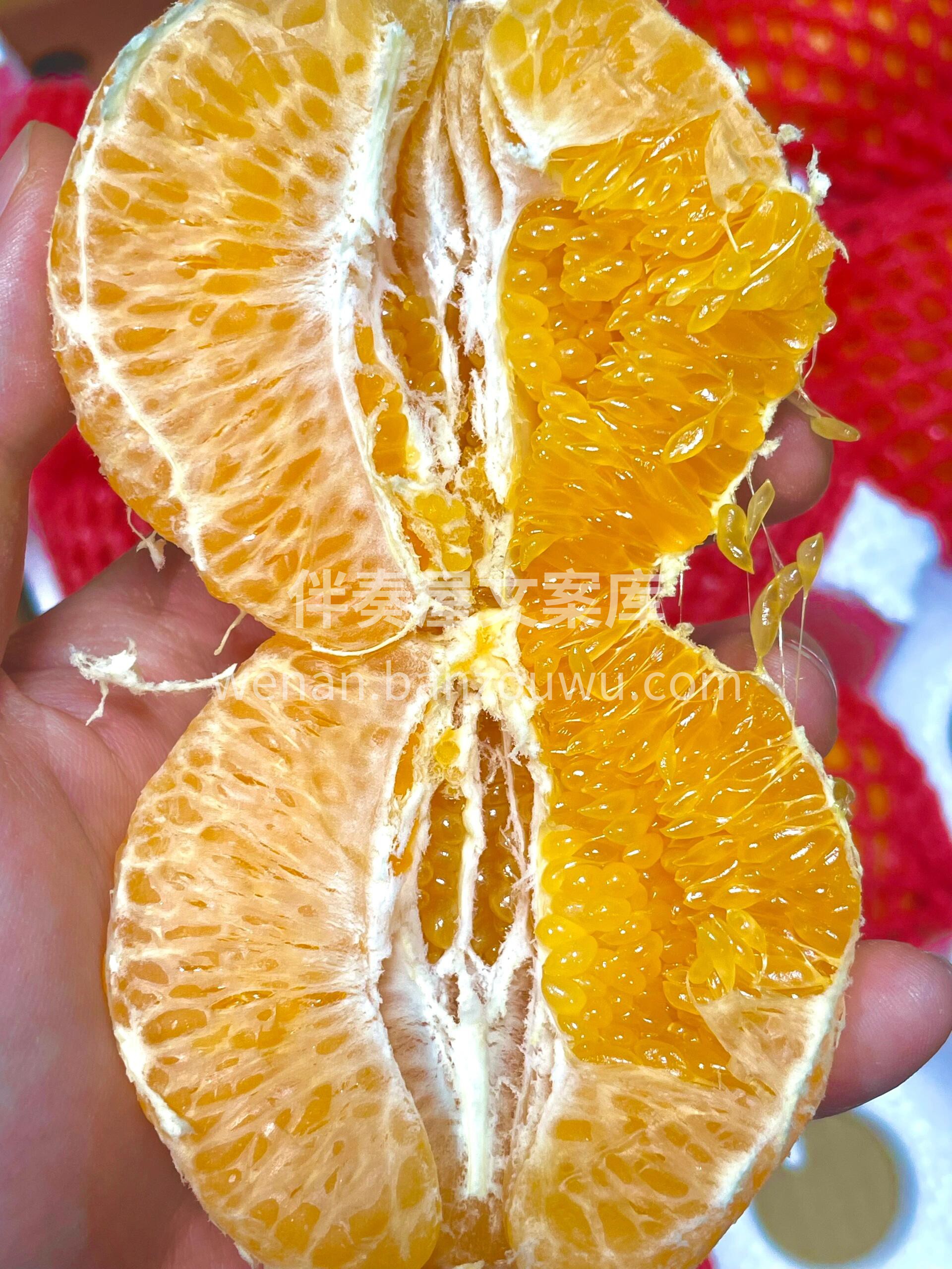 春天的明星👑—大雅柑，掰一瓣扔进嘴里😍  配图2