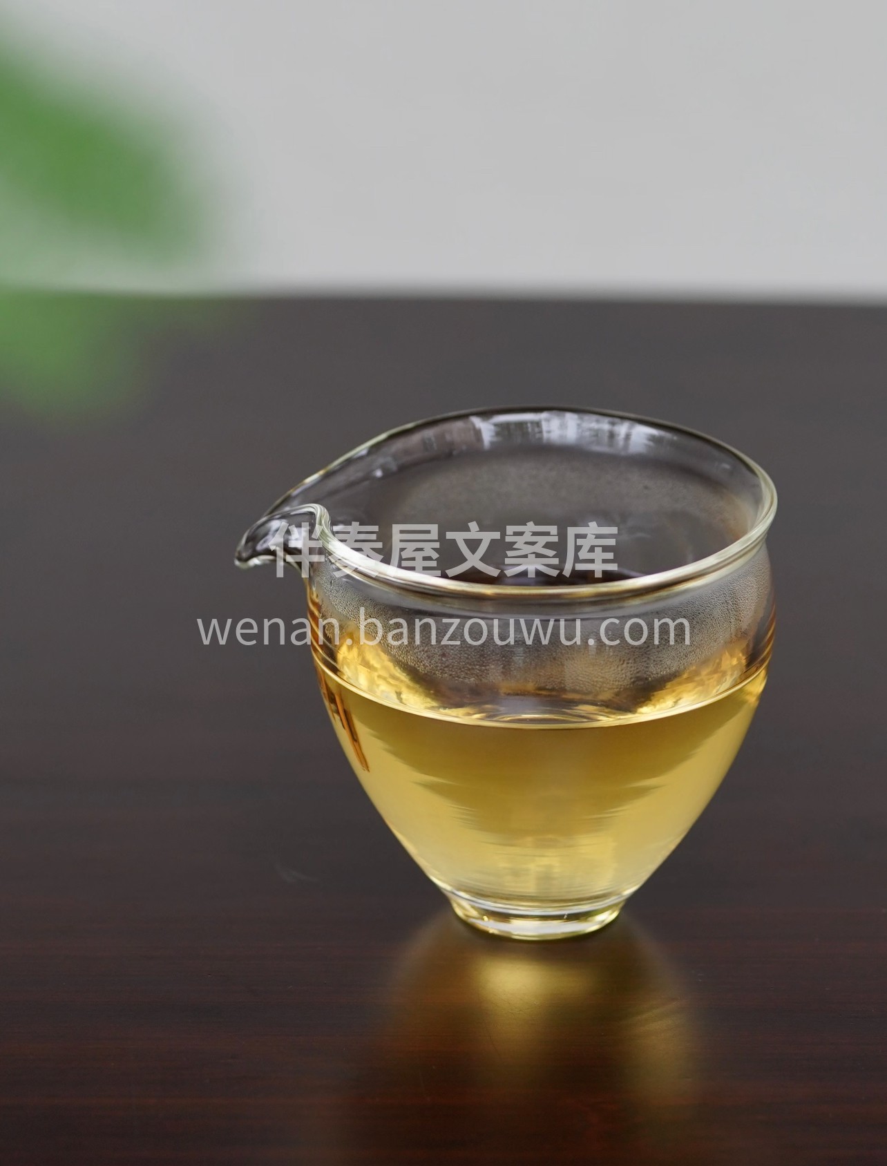 严选高山老树寿眉，芽叶饱满藏自然本味。冲 配图3
