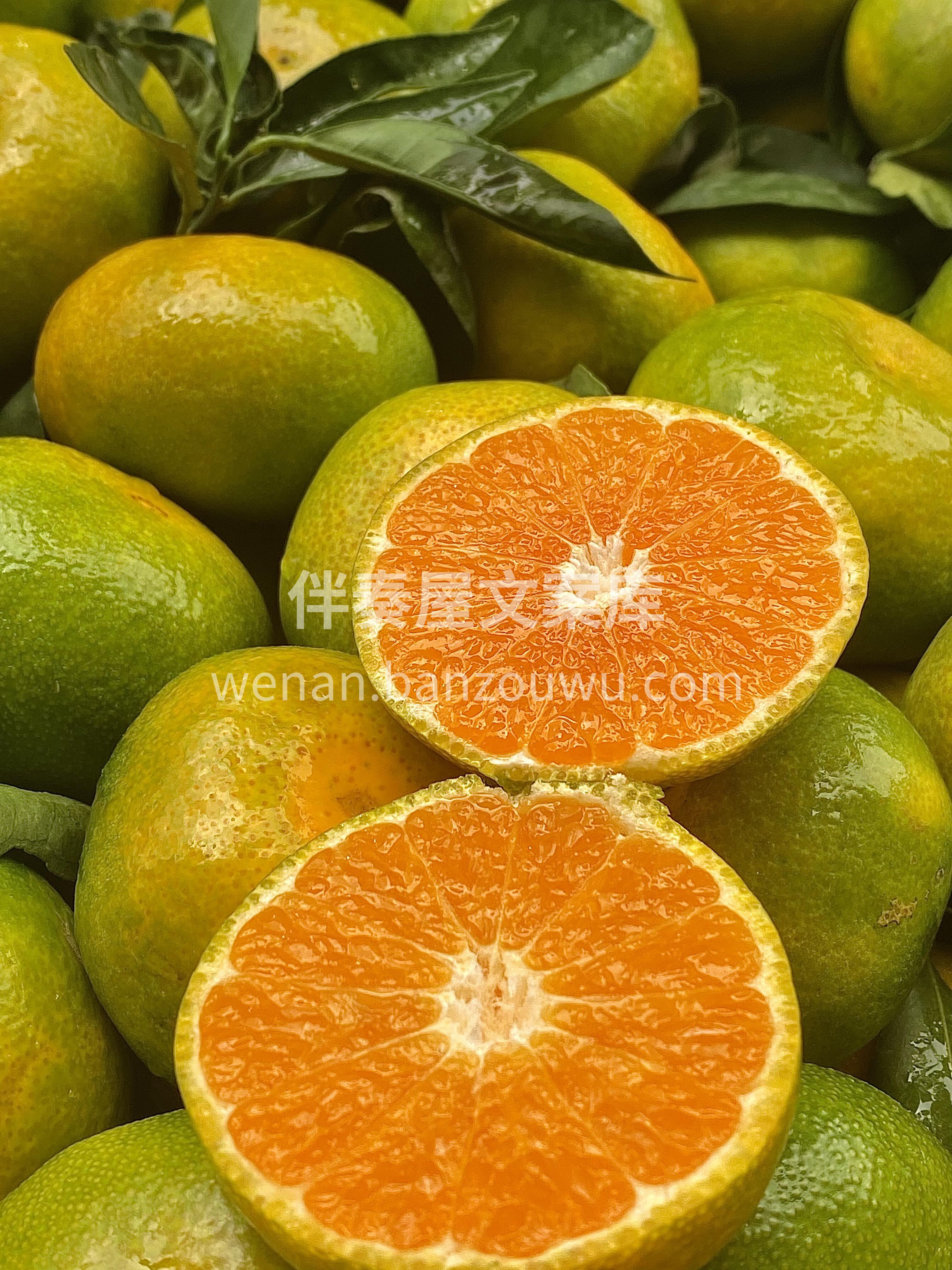 今日份----新鲜蜜橘🍊 太惊喜了😎，皮 配图1