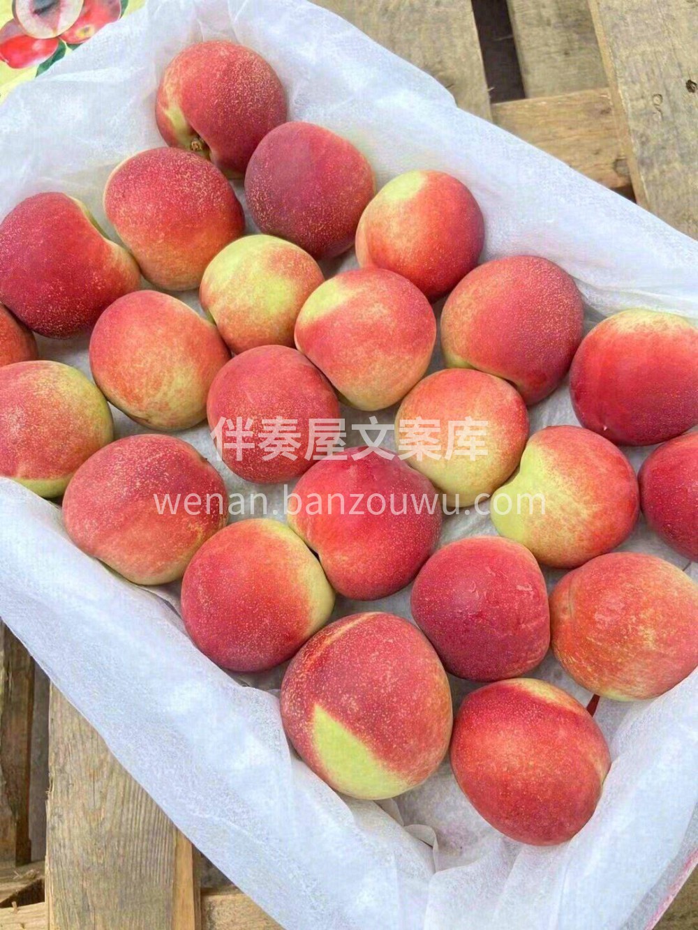 🌈一种水果，两种享受，三分枣味，七分桃味 配图3