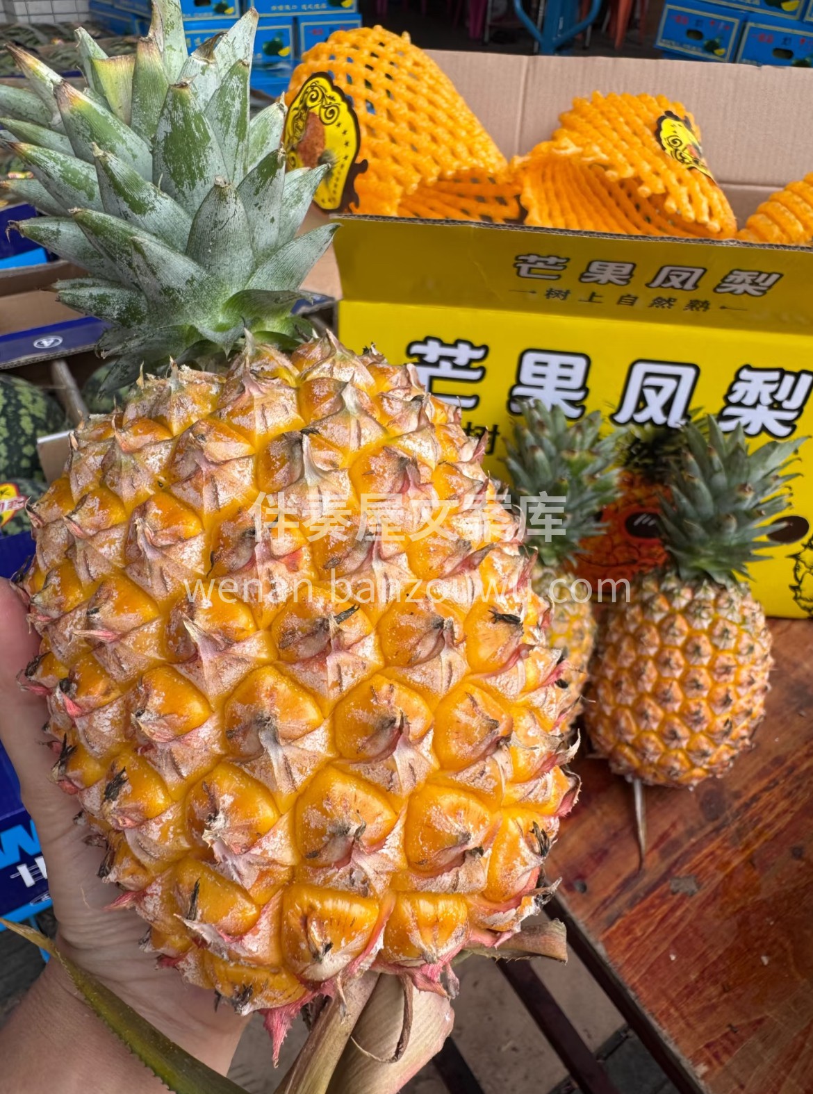 此生不炫芒果凤梨，尝遍热带鲜果也枉然‼️ 配图1