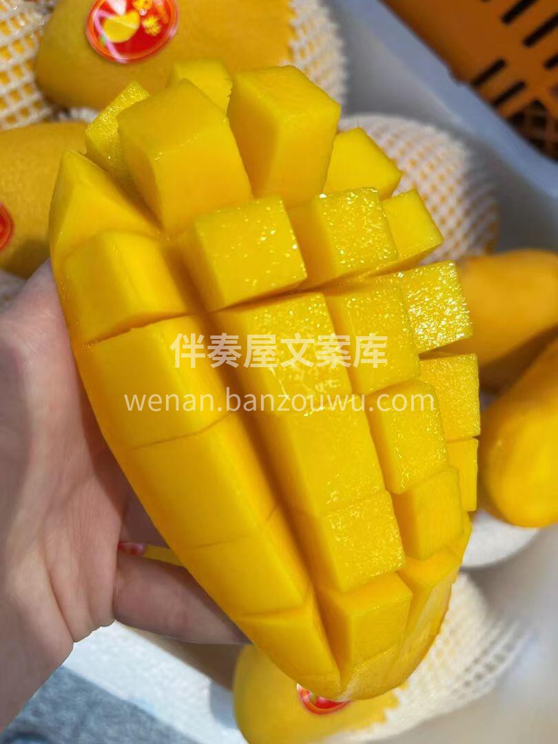 ❤️新鲜美味的水仙芒😋 ⭐️芒果中的佼佼 配图2