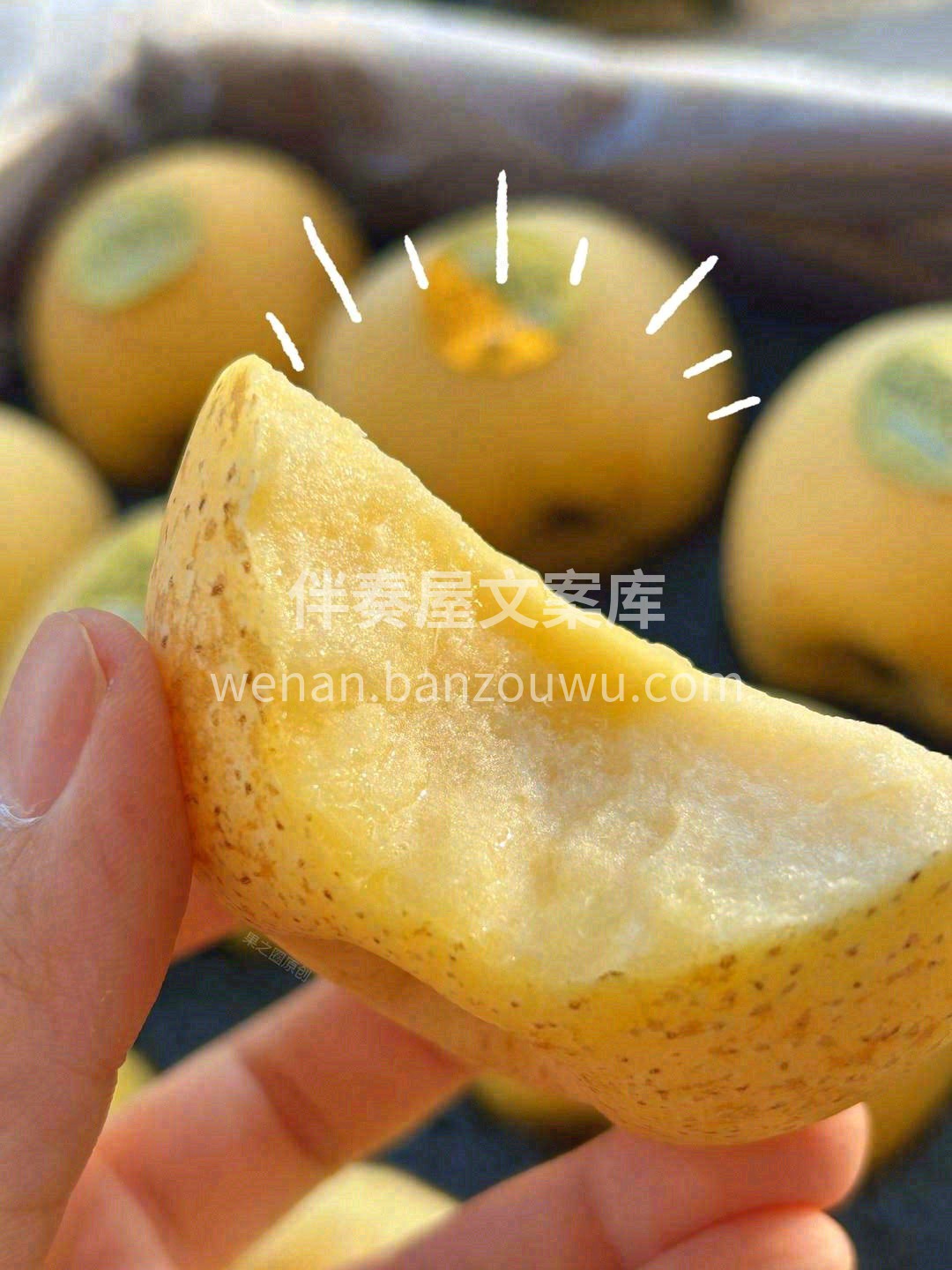 你真的吃过真正的黄胖子维纳斯吗🎁？ “锈 配图1