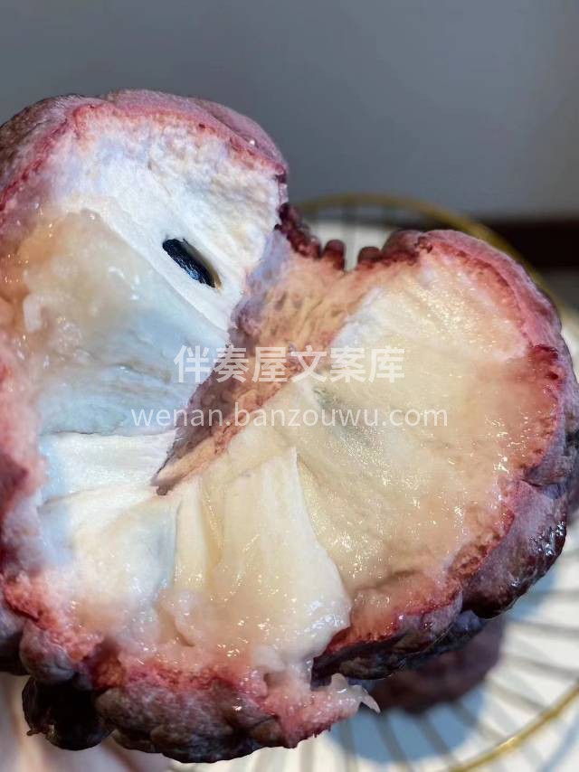 💜玫瑰释迦果 “长树上的冰淇淋” 人间美 配图1