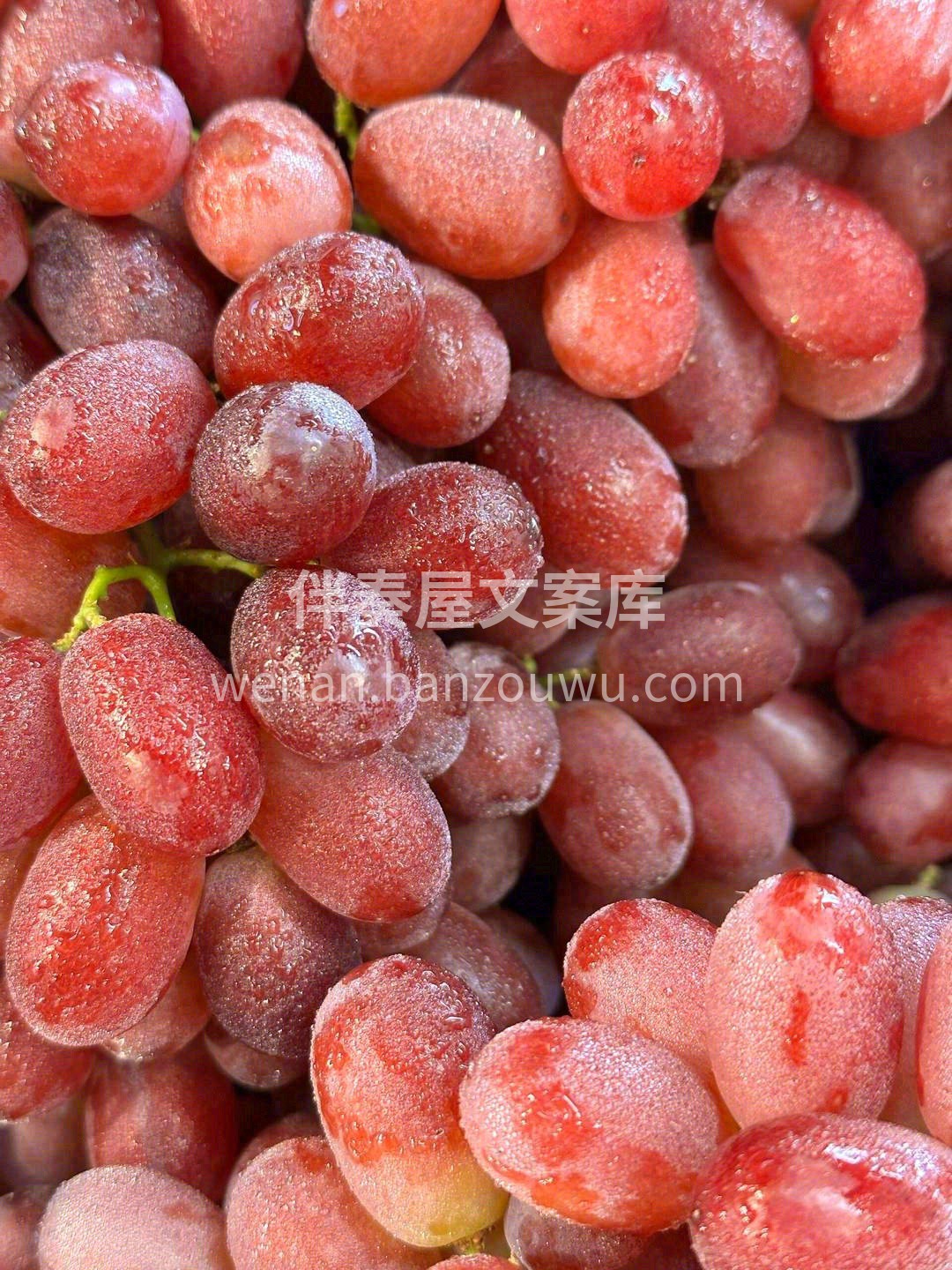 无籽小红提每日必推荐💯 脆甜多汁🏊，皮薄 配图2