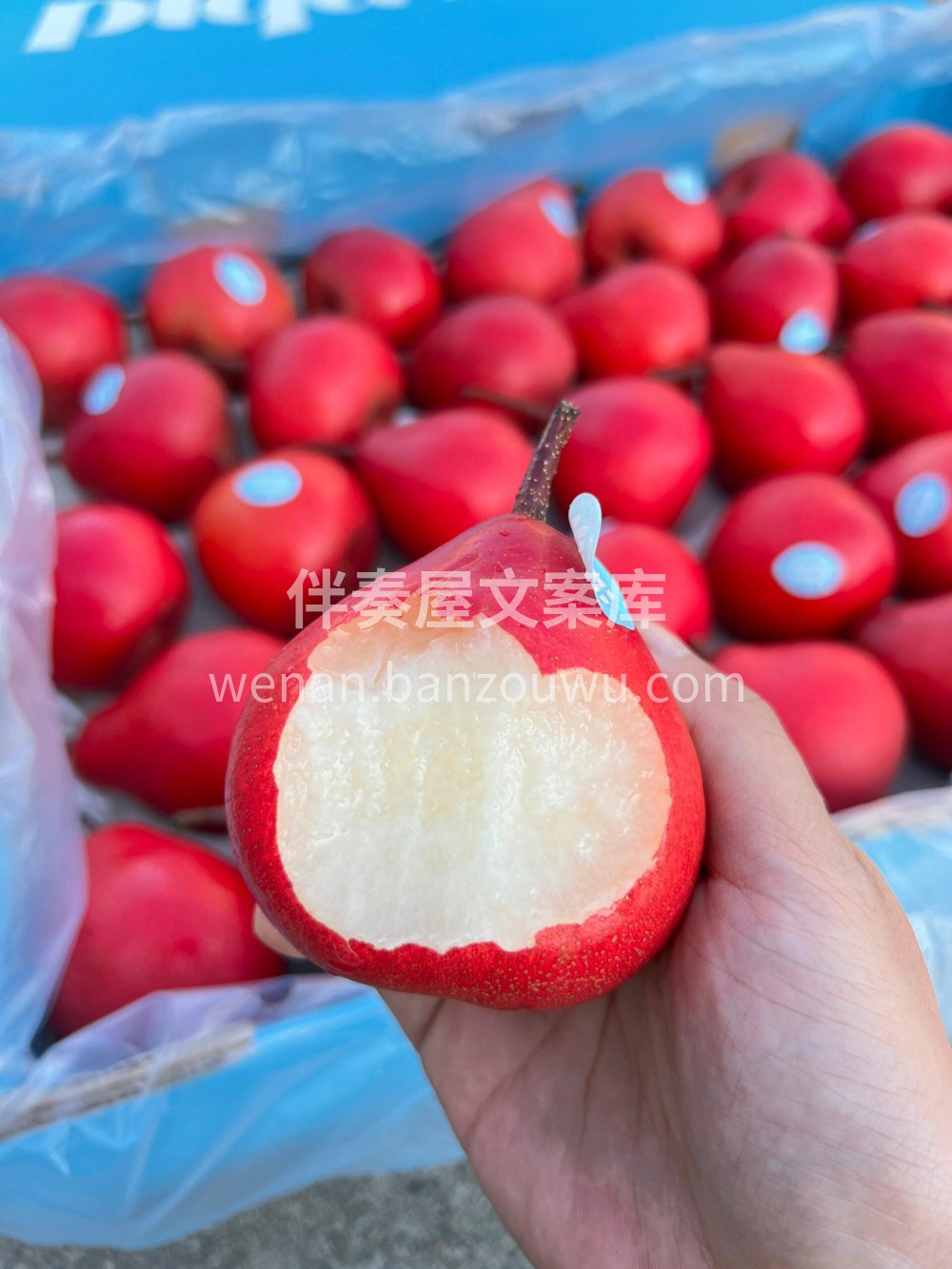 新西兰🇳🇿Piqa® Boo®红梨🍐红艳 配图1