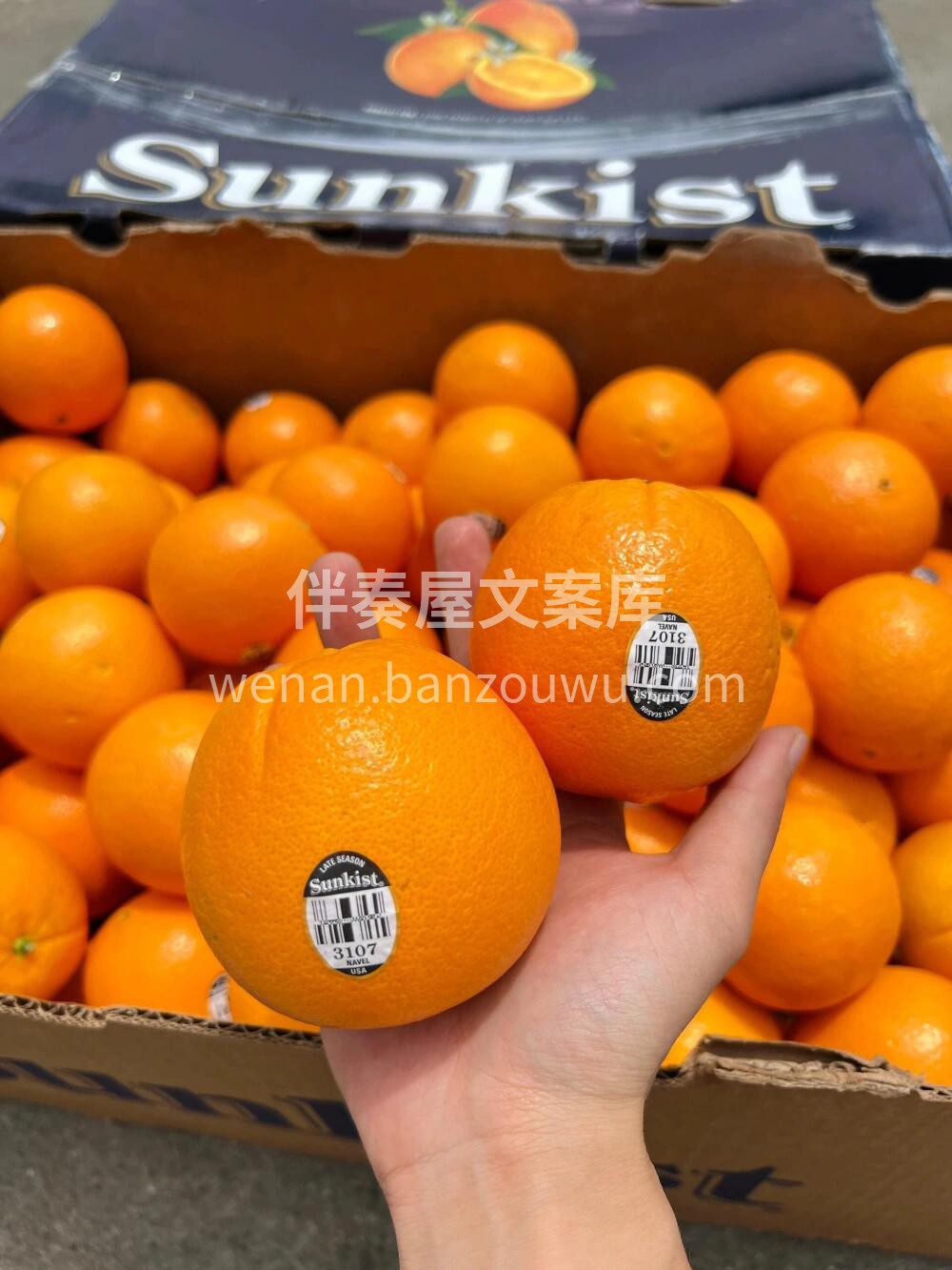 数百个新奇士脐橙中🍊，可能只有1个能被贴 配图2