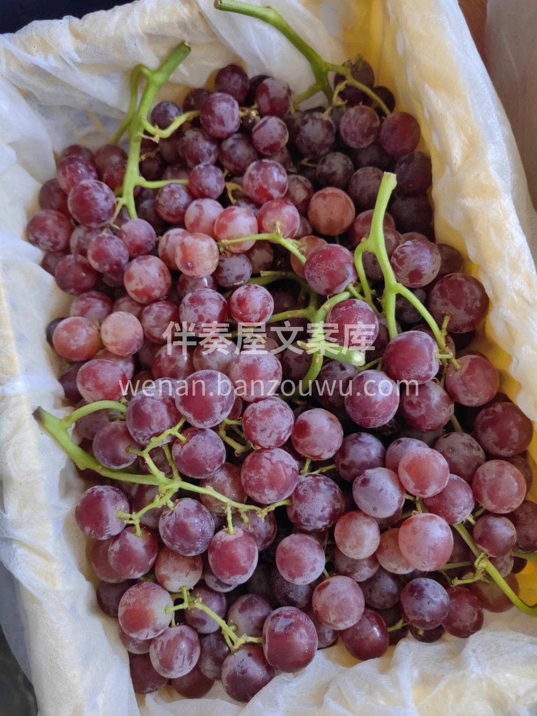 🍇新疆无核红宝石葡萄果皮紫黑色 小小一颗 配图2