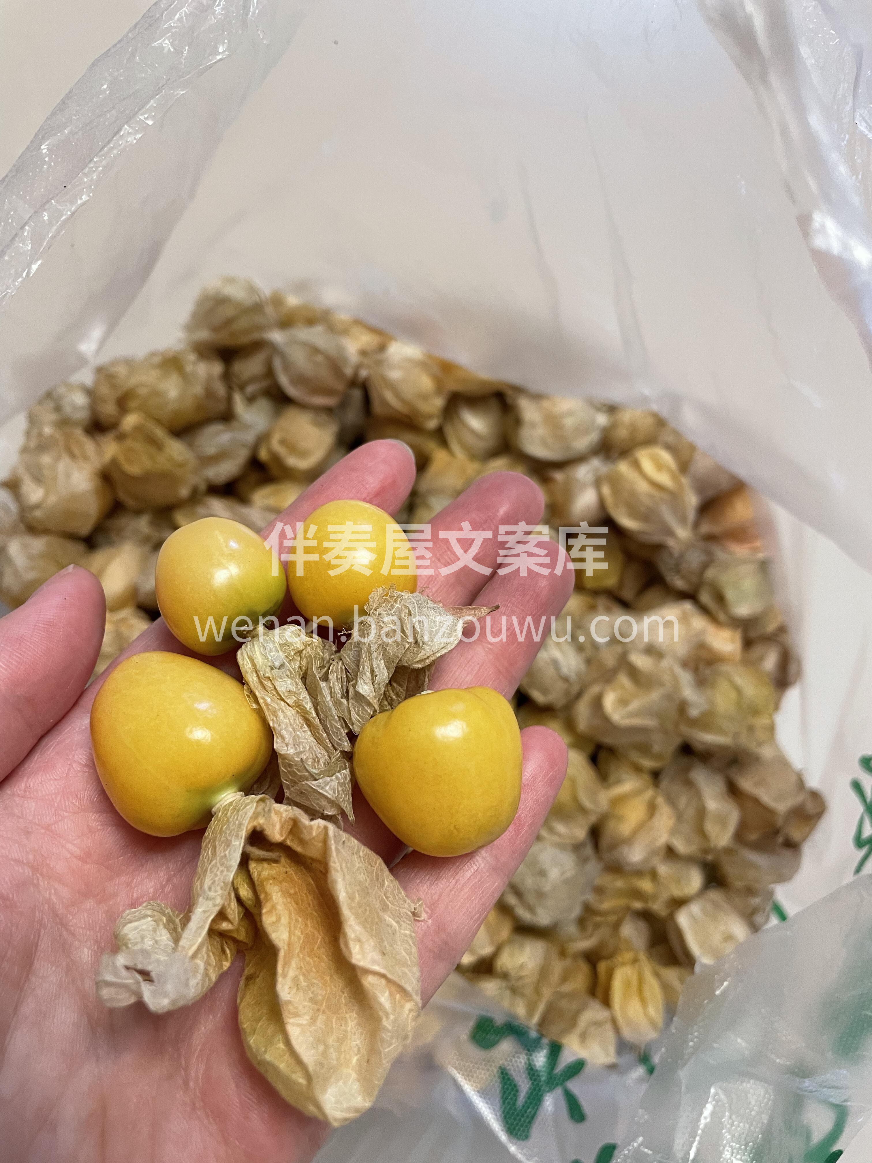 🍂水果中的“小零食”——姑娘果✨ 小盆友 配图2
