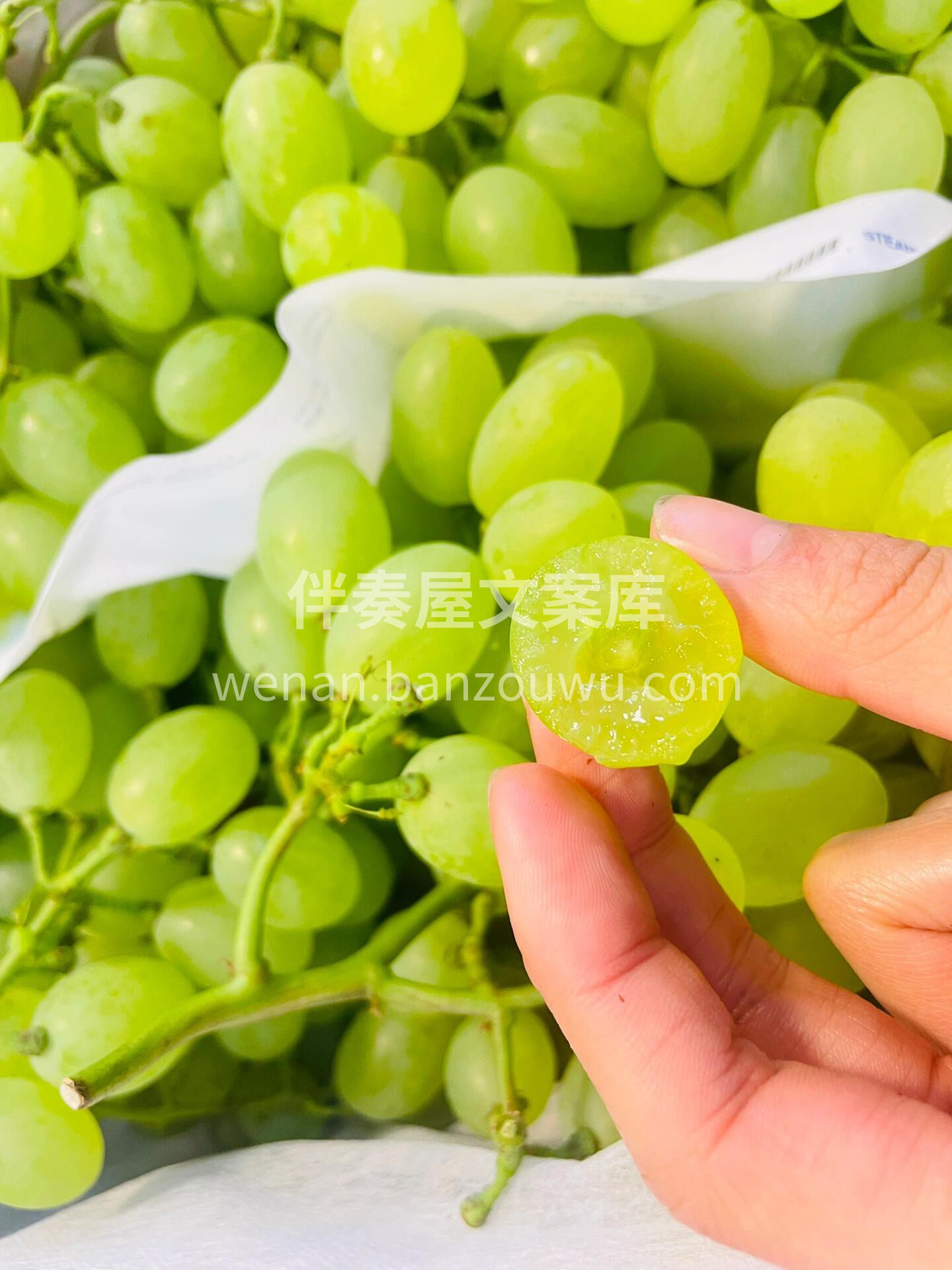 高颜值的维多利亚青提可以安排咯😍 终于等 配图2