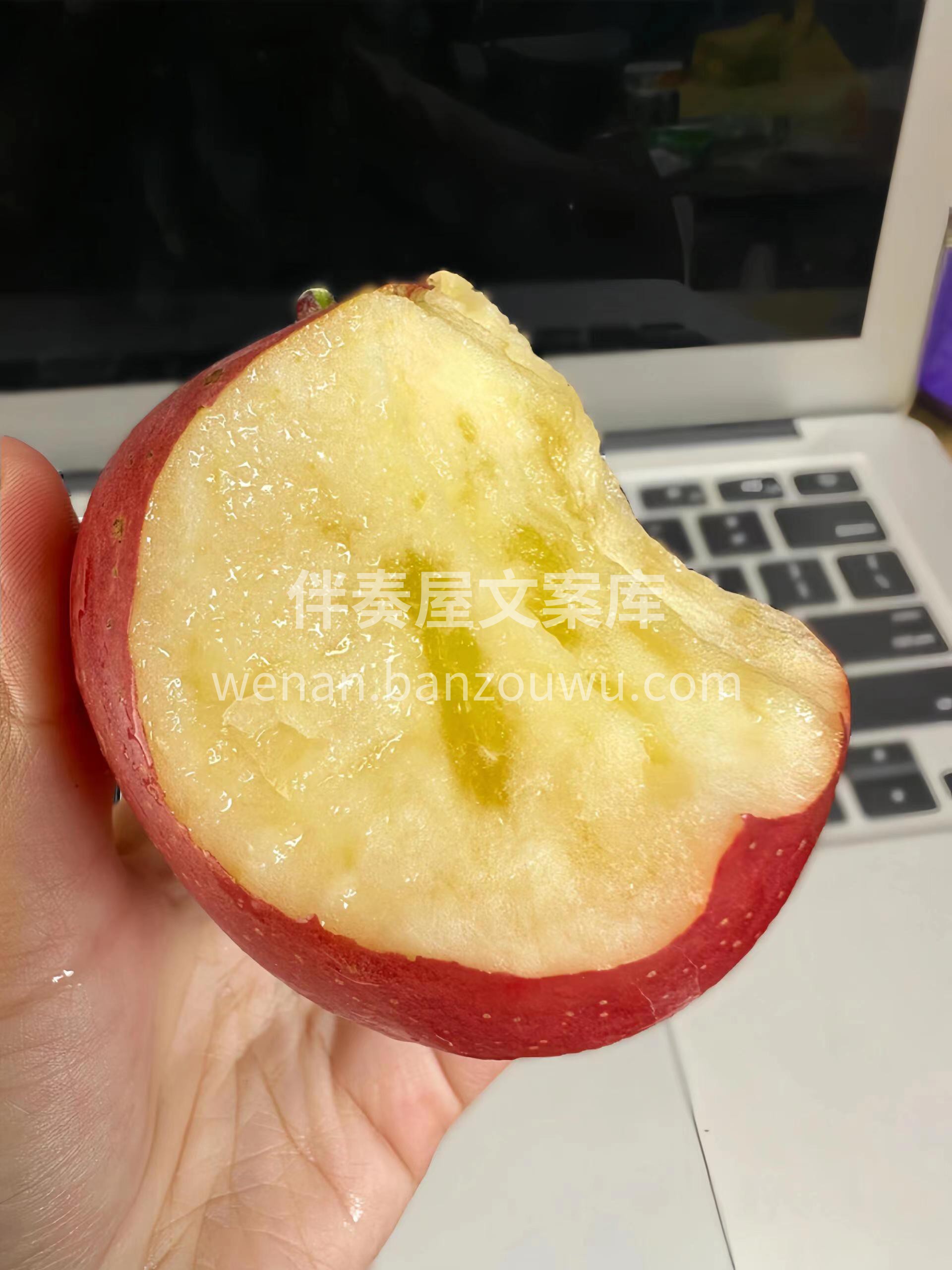 ✨丑爆了！却甜炸了💥 产自海拔2000米 配图1