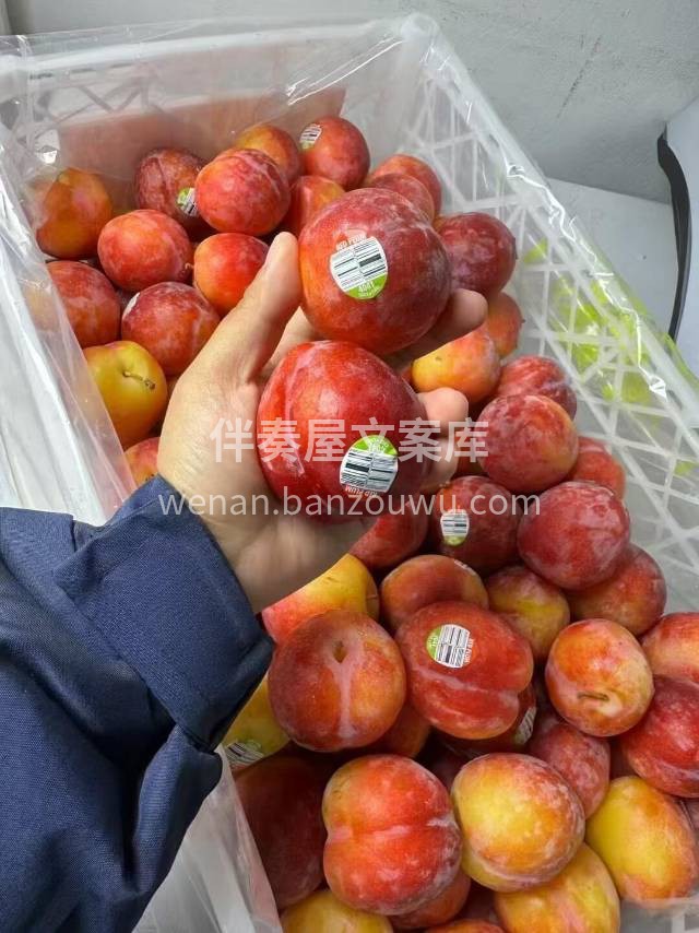 一吃就让人爱上的珠宝李😍 糖度要比一般的 配图1