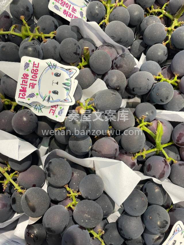 🍇 多肉的巨峰葡萄🍇 😍口感Q嫩，果肉水 配图2