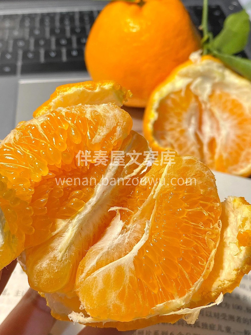 耙耙柑🎊年年复推，年年卖爆🎊保你一口一口 配图3