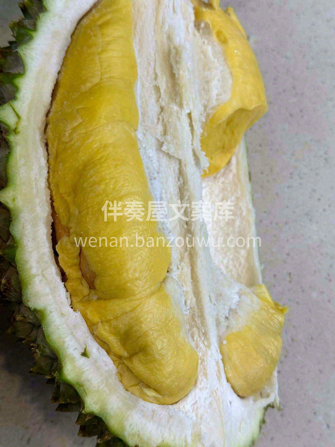 一入猫门深似海🌝，从此金枕是路人🔥 这颗 配图1