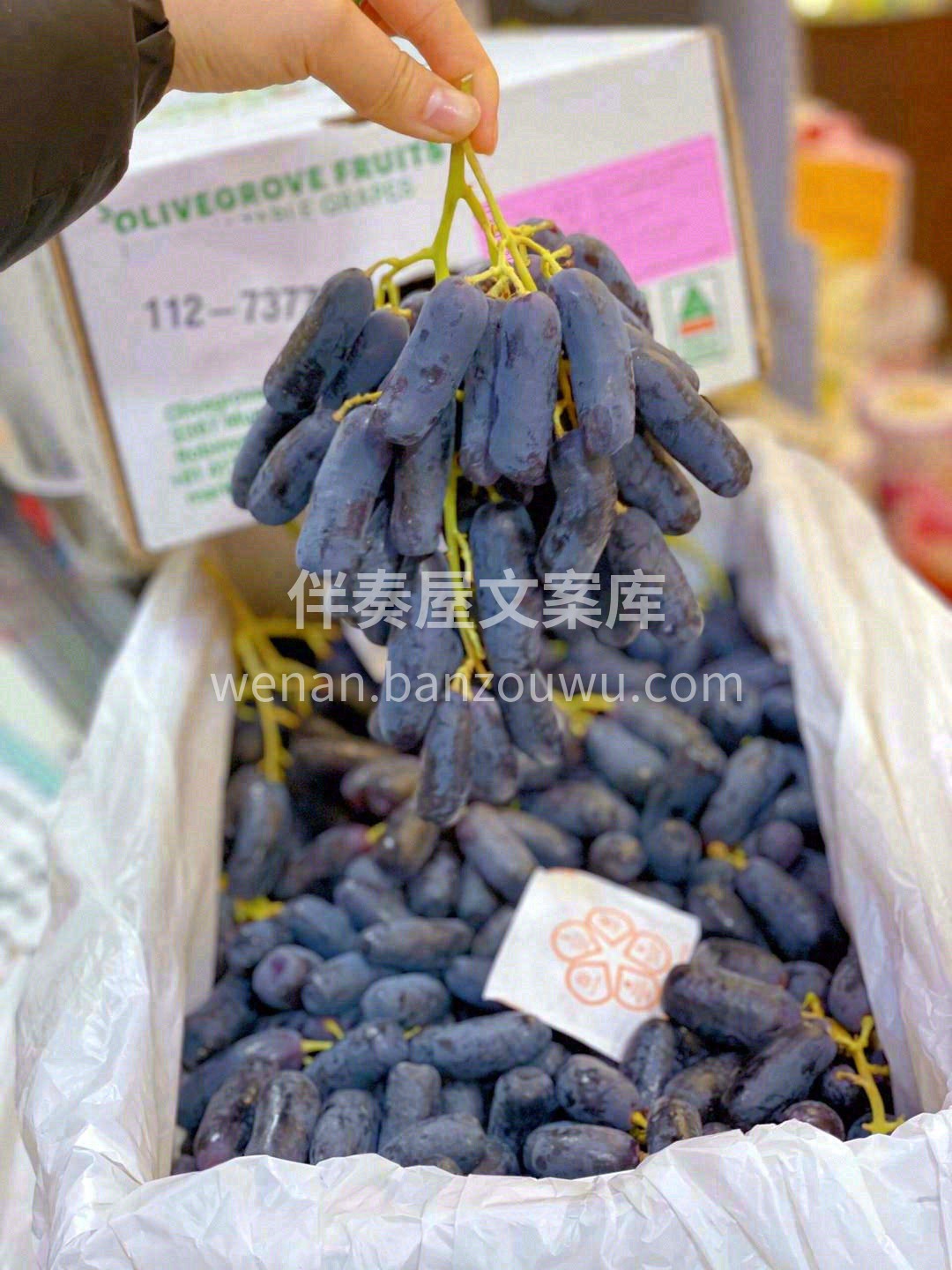 金手指一开🤞，好事自然👍来！ 久违的金手 配图2