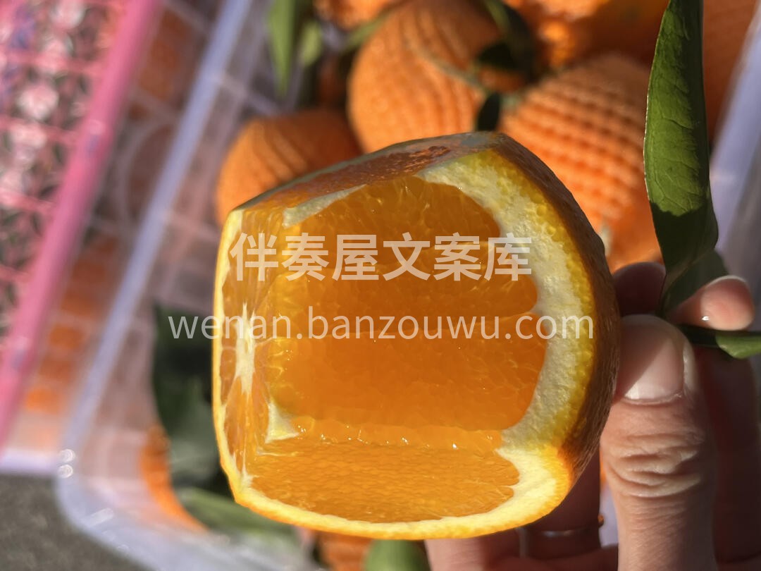 赣南脐橙🍊 一个，两个，连吃三个都不够👏 配图3