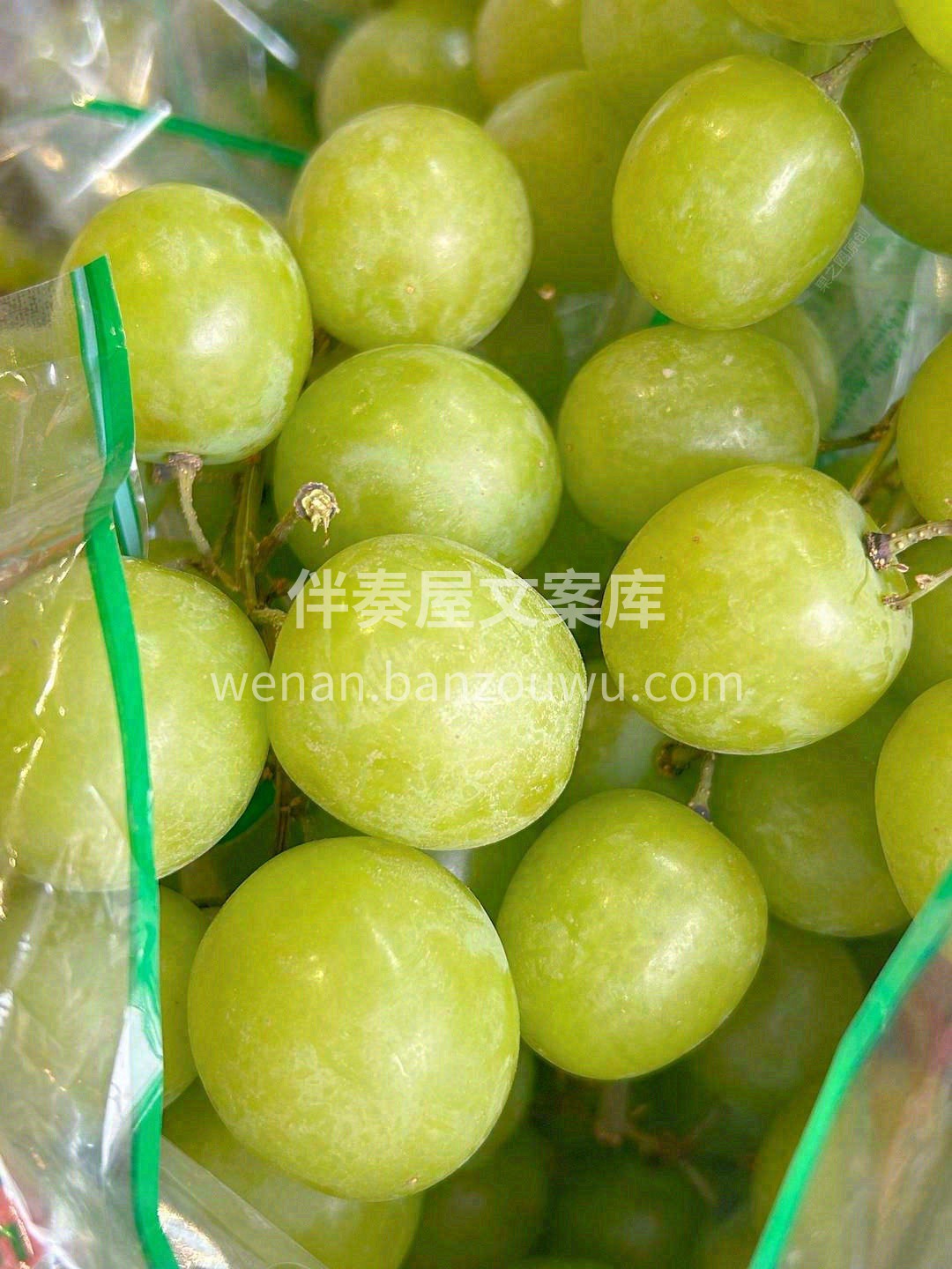 吃秋天脆的时候就感觉牙齿划过气球🎈 炸裂 配图3
