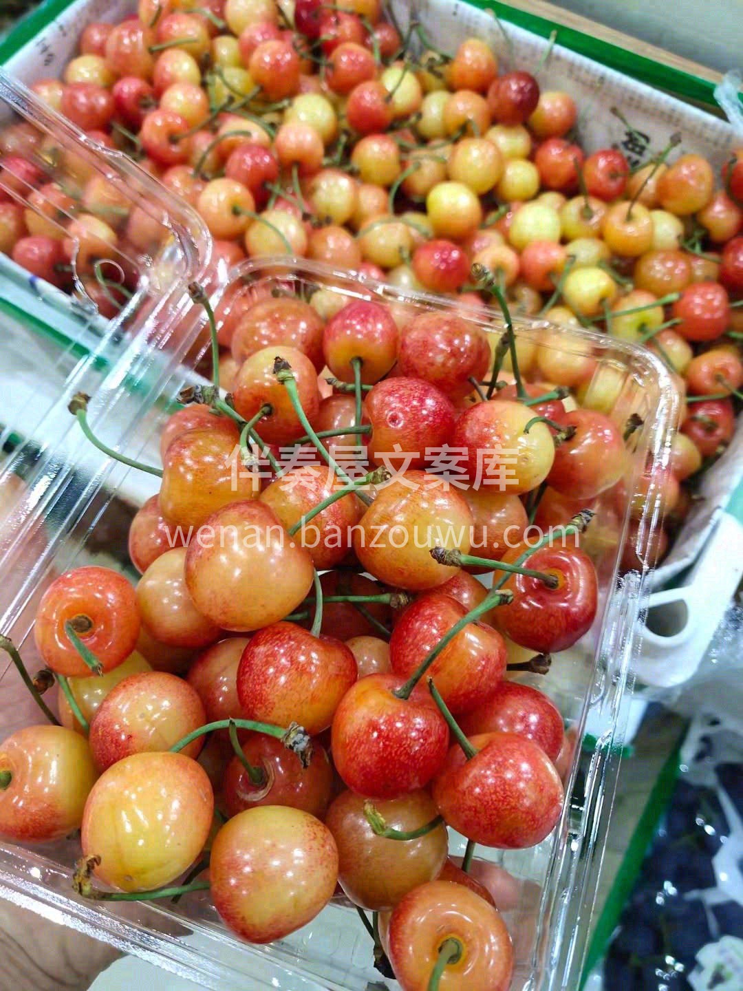🌟“品三颗樱桃，享半日香甜”🍭 黄蜜樱桃 配图2