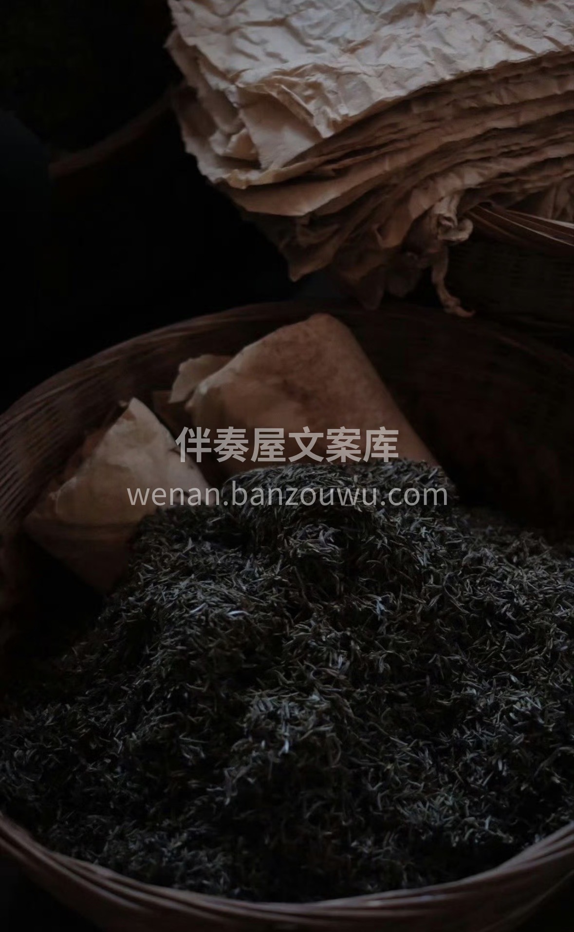 🍵手工黄芽｜核心卖点 ✅早春头采嫩芽，原 配图2
