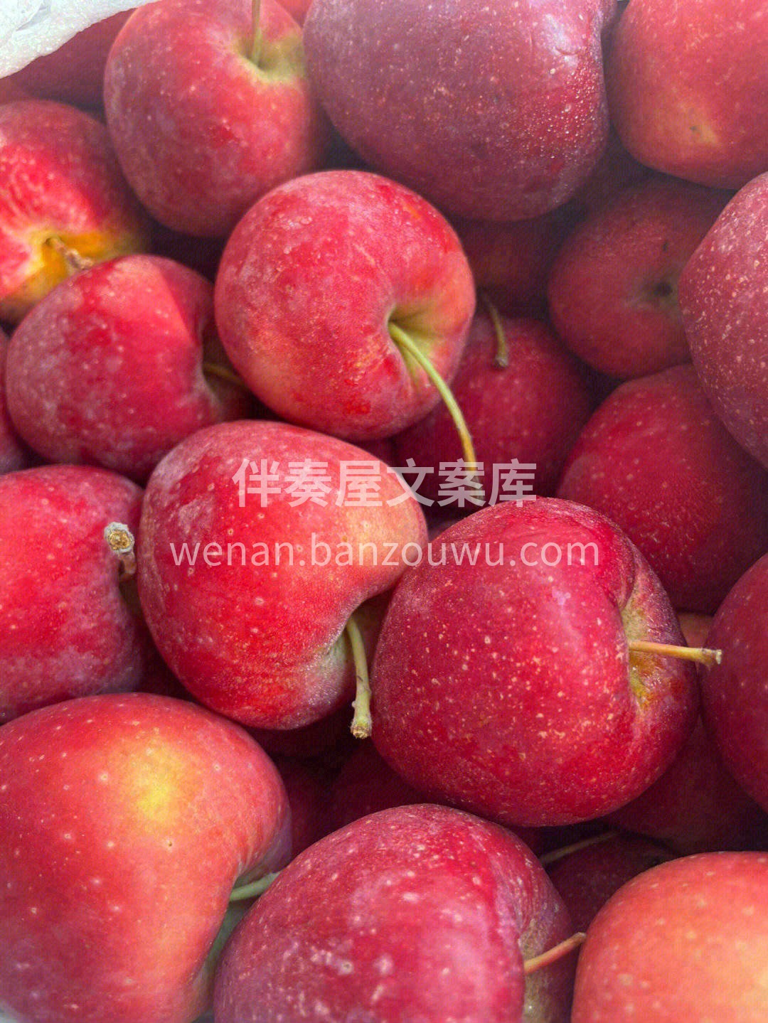 鸡心果🍎特别圈粉小朋友😍 家里的小孩子， 配图3