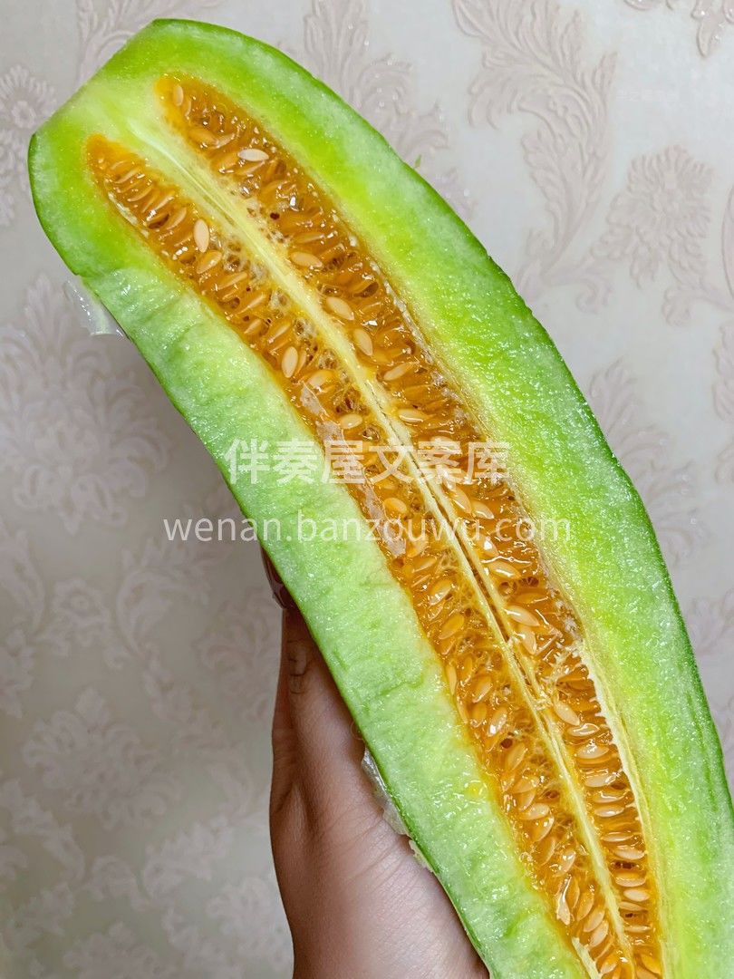 未见其瓜，先闻其香👉👉👉 羊角蜜散发着自 配图3