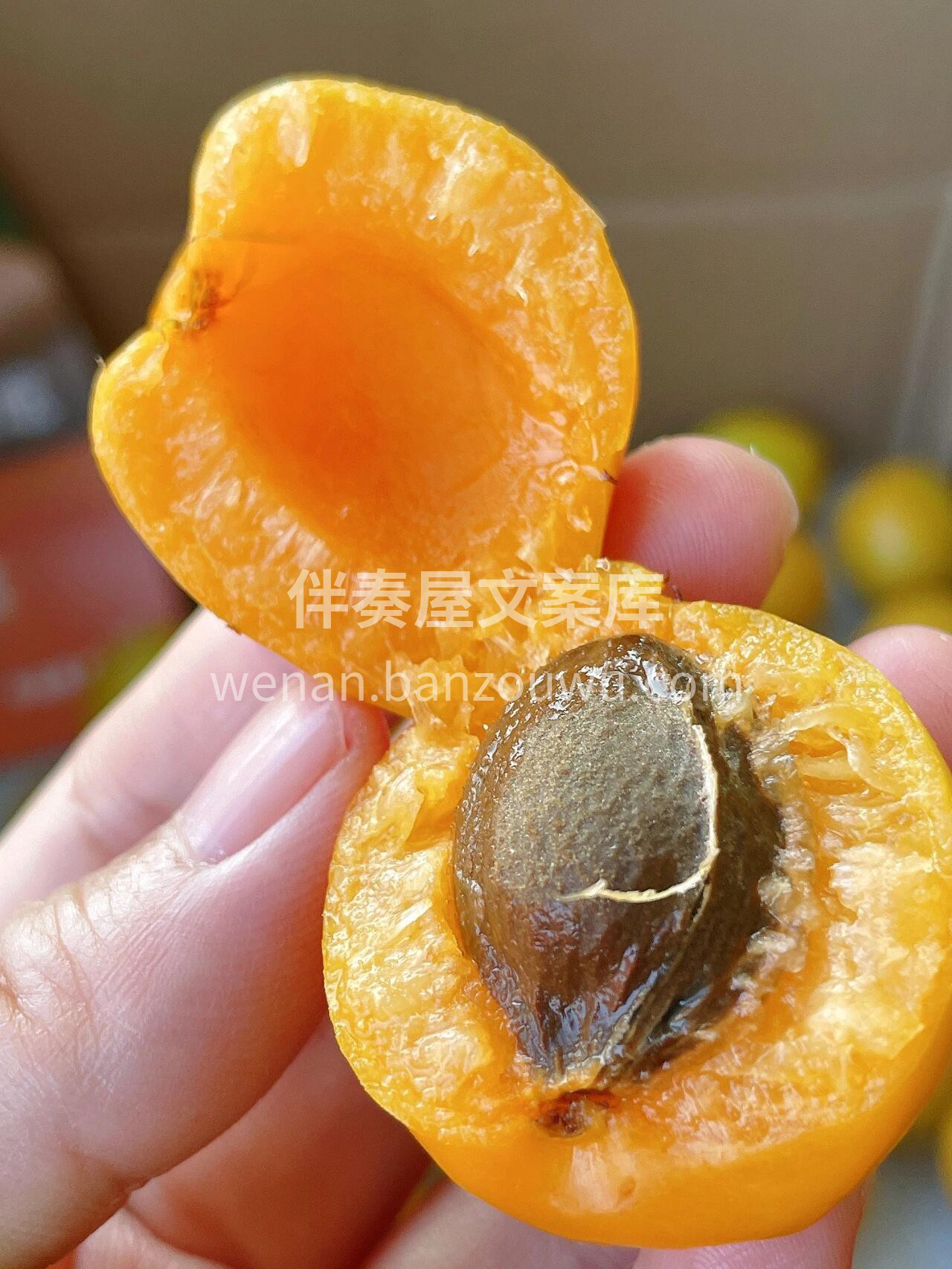珍珠油杏❗一口就爱上😍 好吃哭了！🙈这珍 配图1