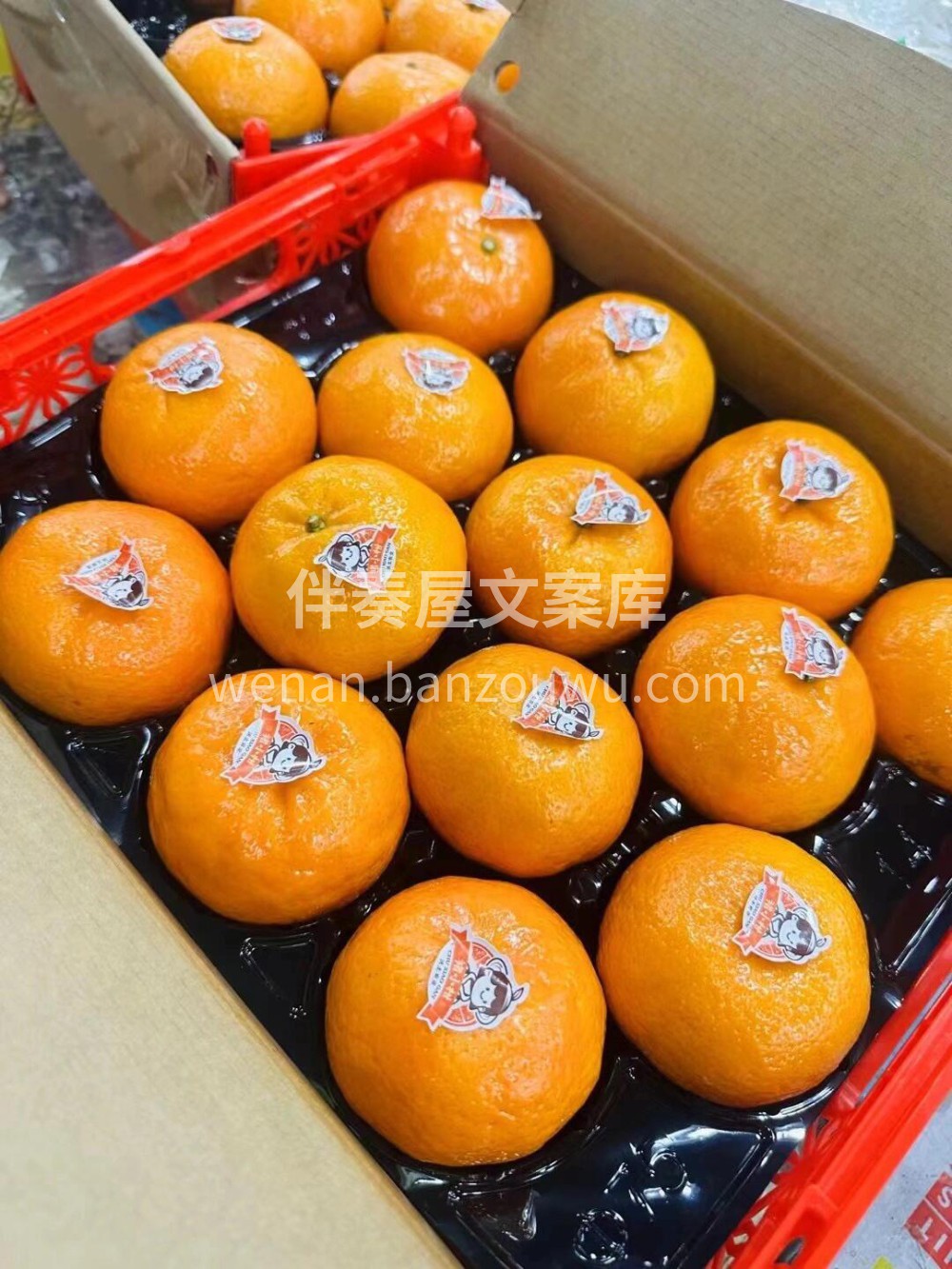 最好吃的柑橘🍊褚小柑 🍯纯甜口🍭这个季节 配图3