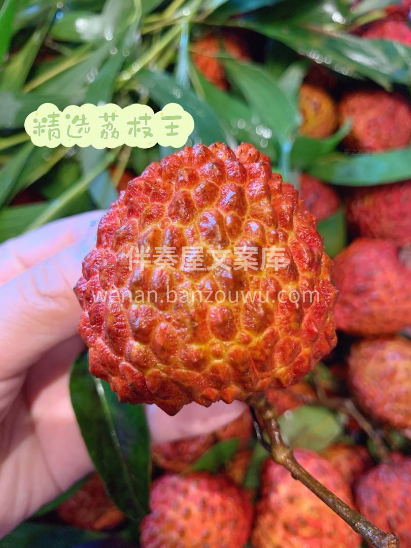 🌋荔枝王||只有吃过荔枝王😎😎 夏天才算 配图3