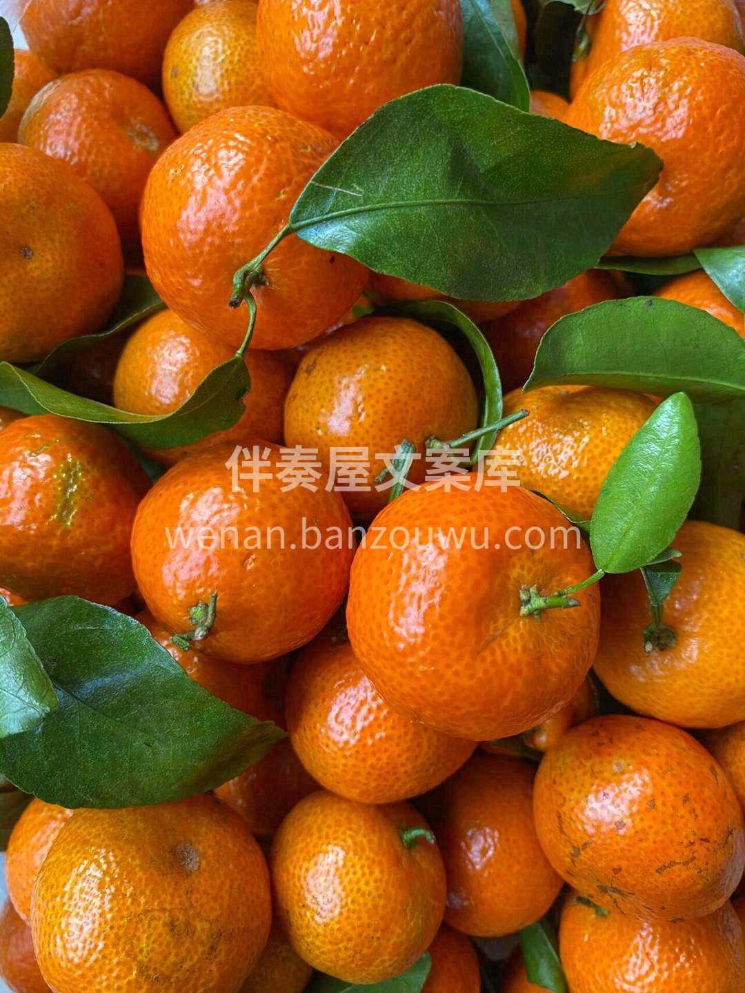 一整颗桔子丢进嘴😋，嘴巴塞得满满的🌊 像 配图1