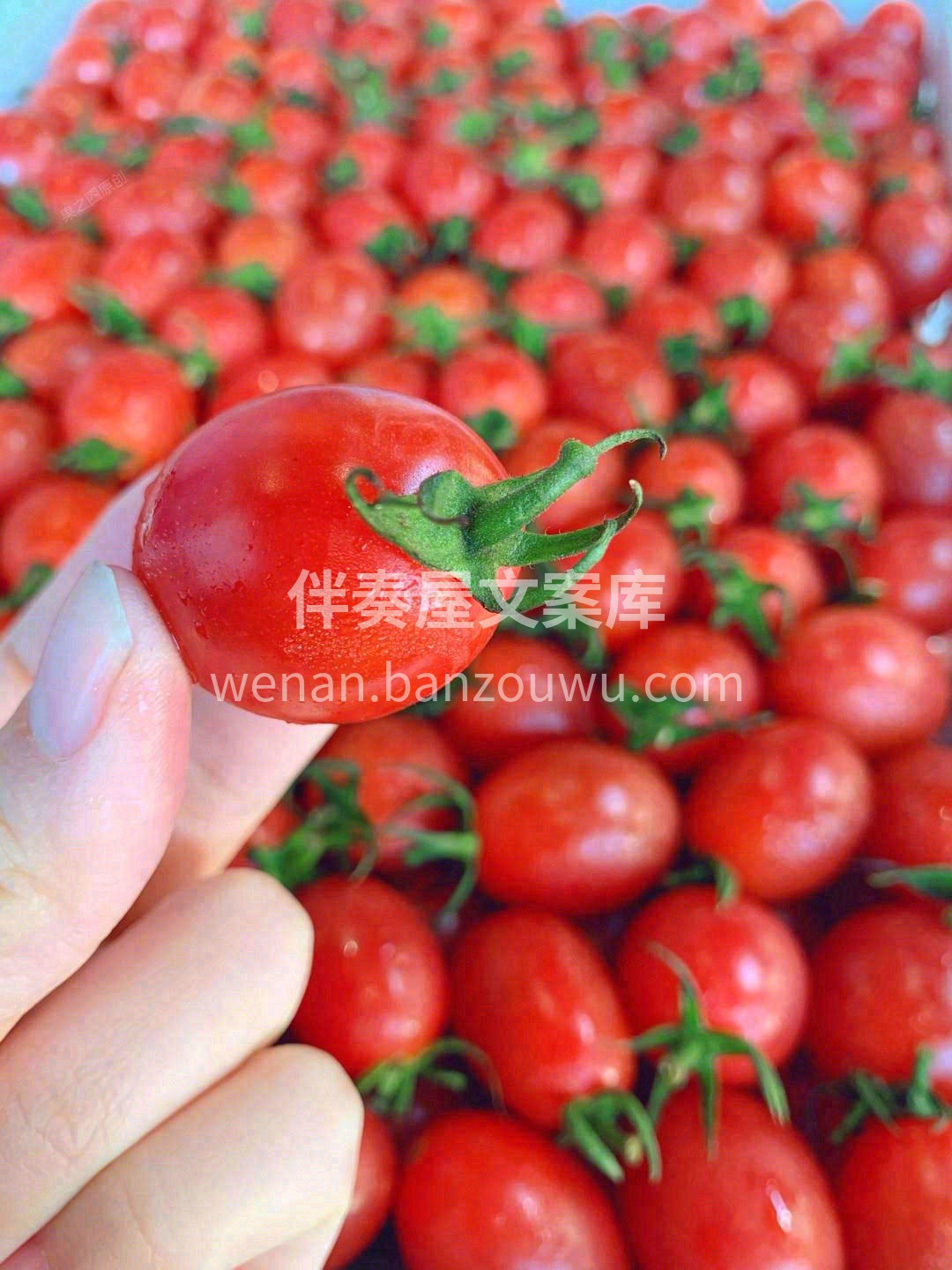 ❣千禧果，抛开淑女装 一口爆甜一个❤️  配图1