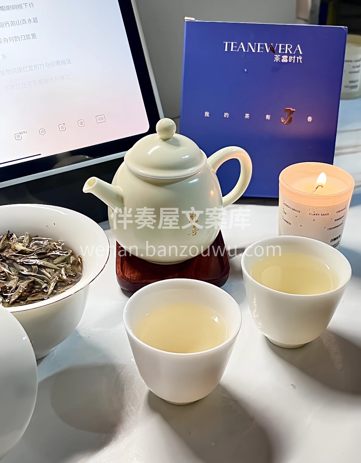 白毫银针·雪魄春芽 晨露润活福鼎春梢，满 配图3