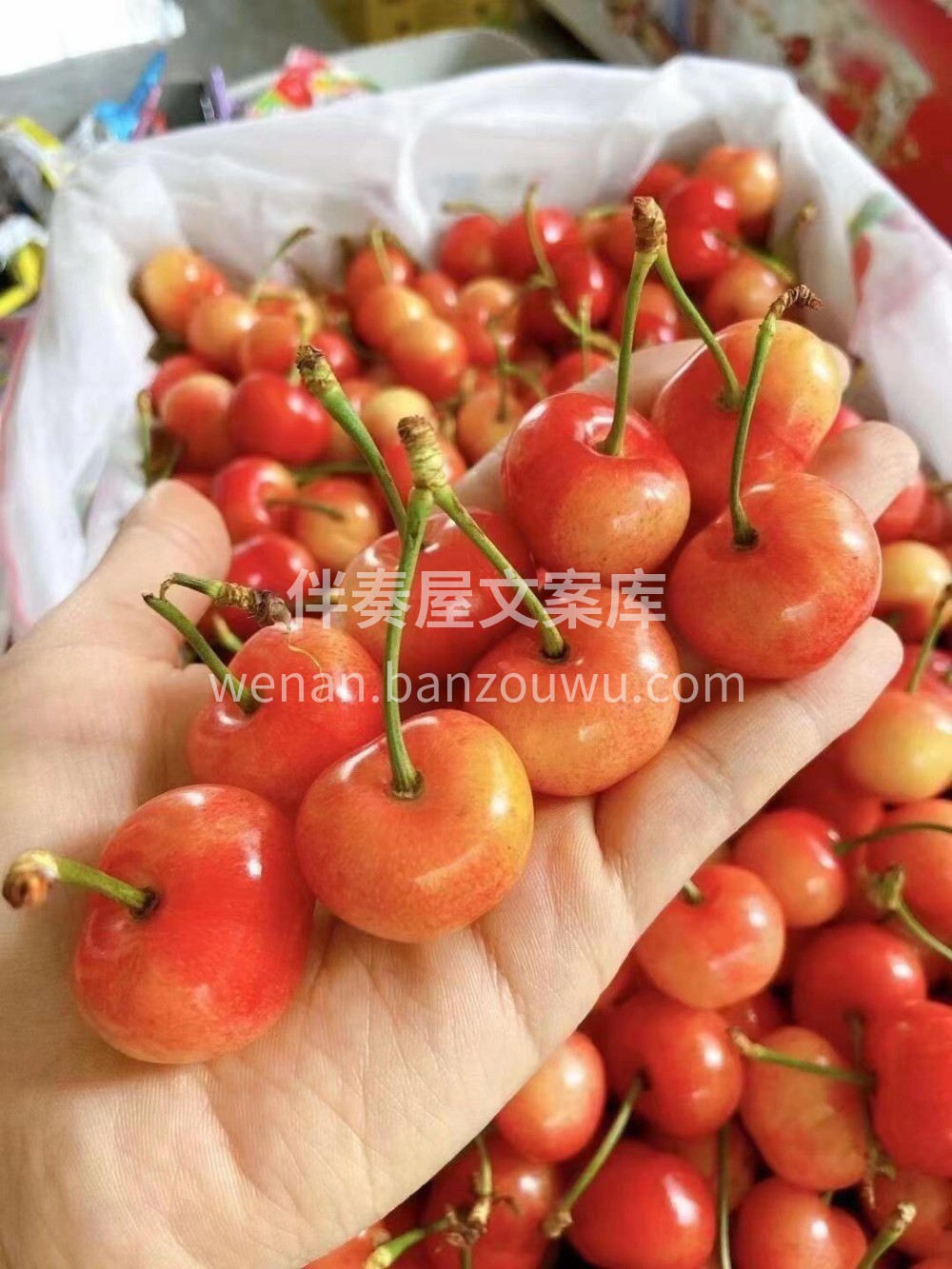 💚有机布鲁克斯樱桃🍒｜ 继续到❤️“品三 配图1