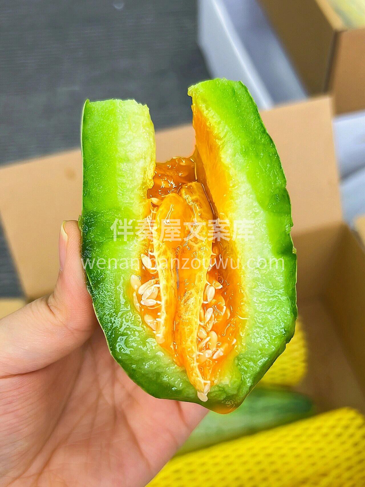 周日☀️早安～☕️ ⁺₊ 𝑯𝒂𝒑𝒑𝒚·🖐 配图2