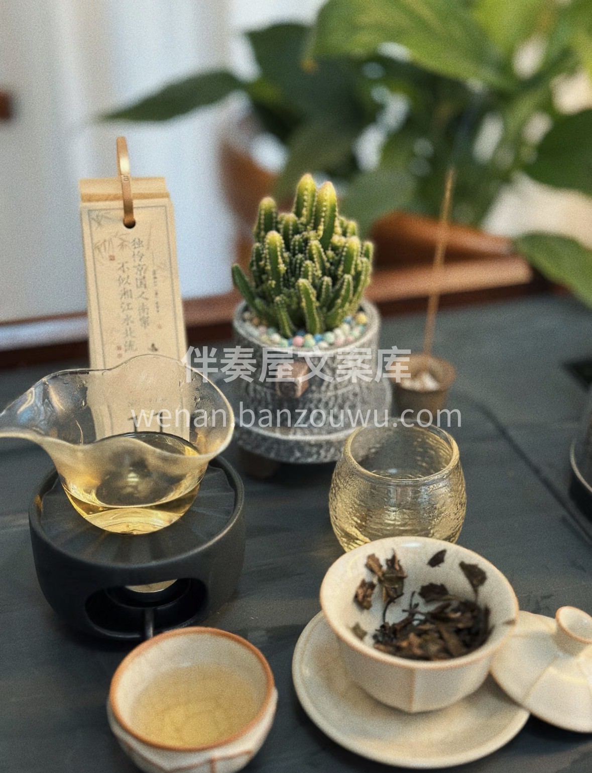冬天的温暖，是一杯福鼎大白给的。源自核心 配图2