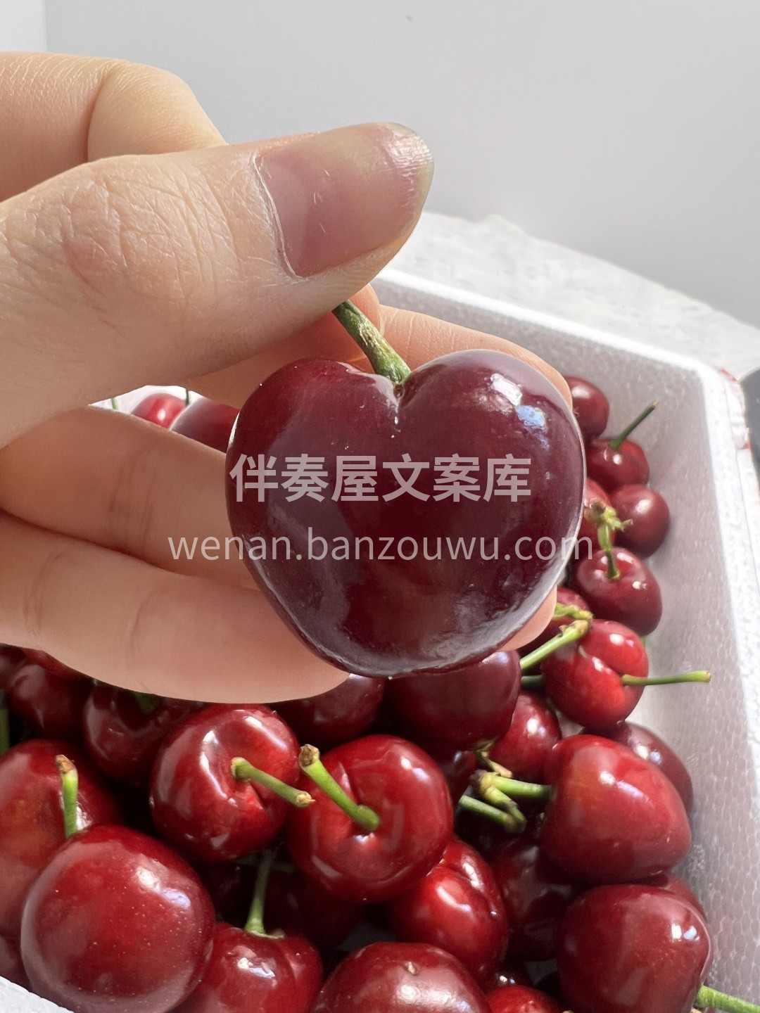 🍒 一口一颗樱桃爽到飞起！ 果肉紧实💥， 配图2