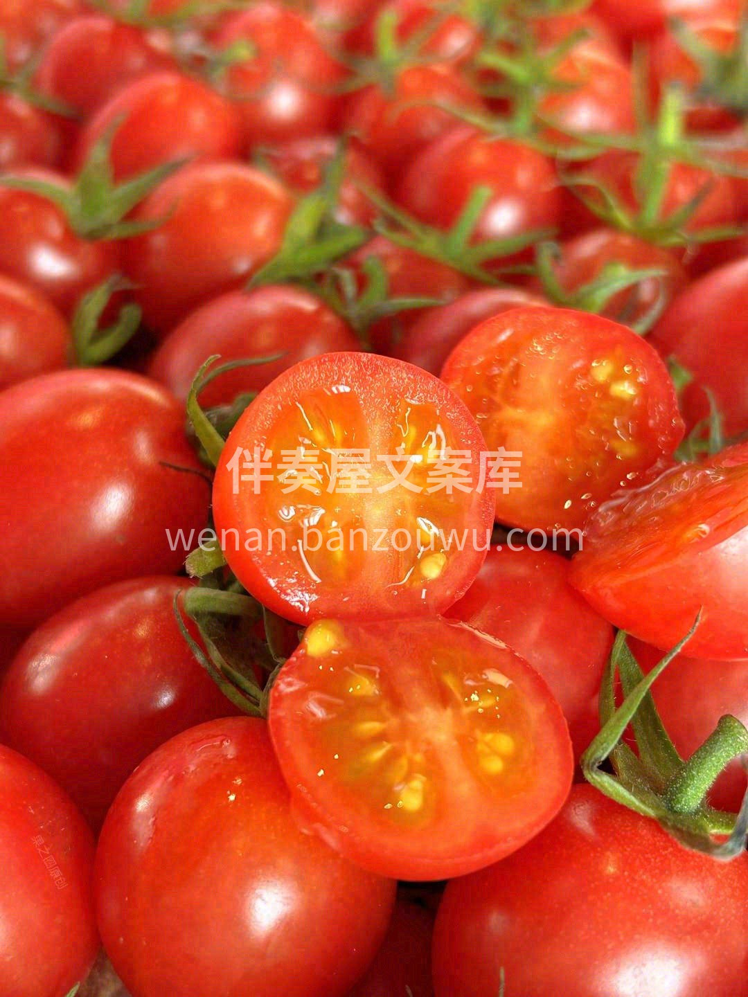 这个秋天，没你不行！ 🍅玲珑小番茄，❤番 配图2