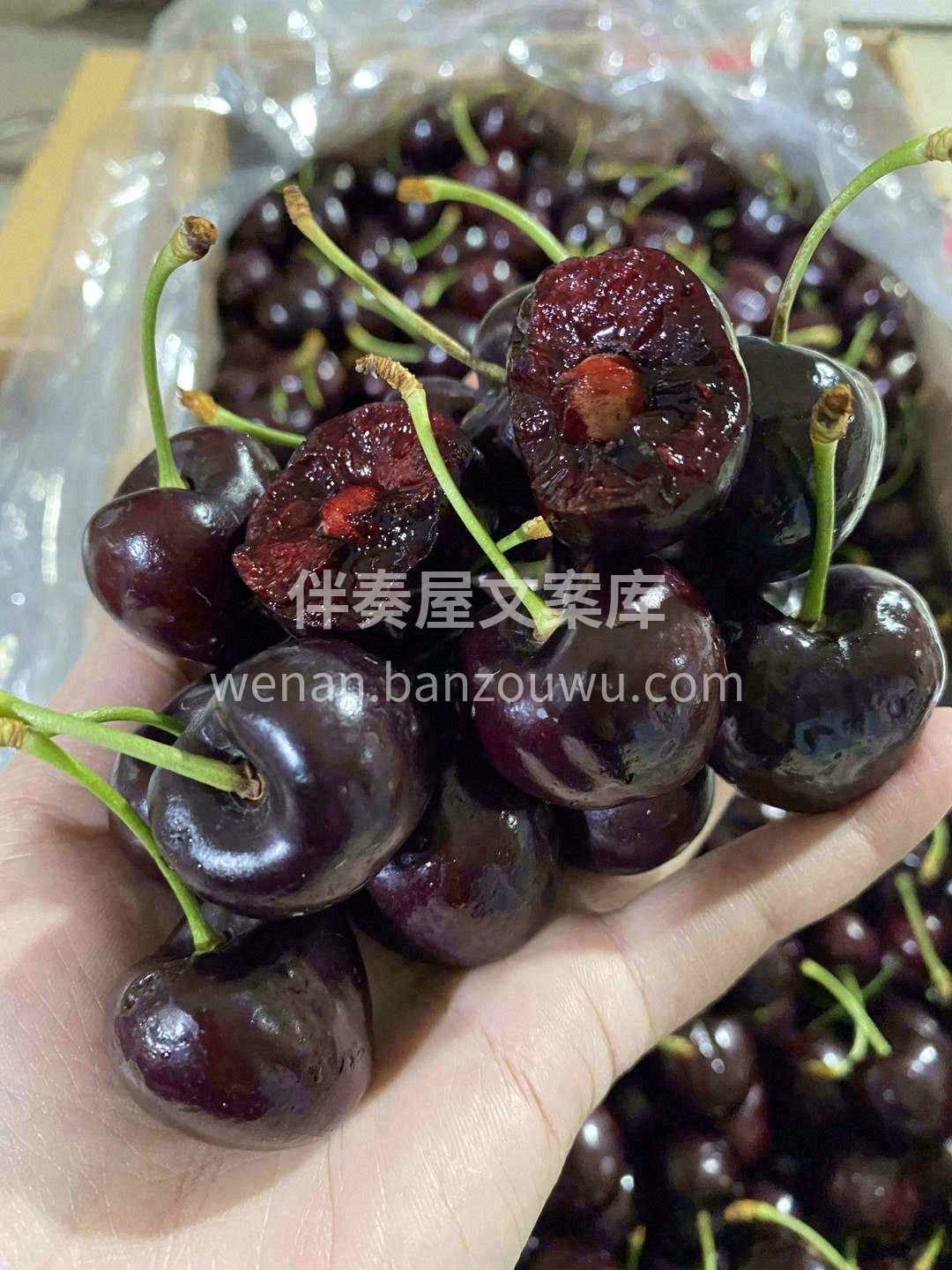 🌿“天然VC之王”、生命之果💗 说的就是 配图1