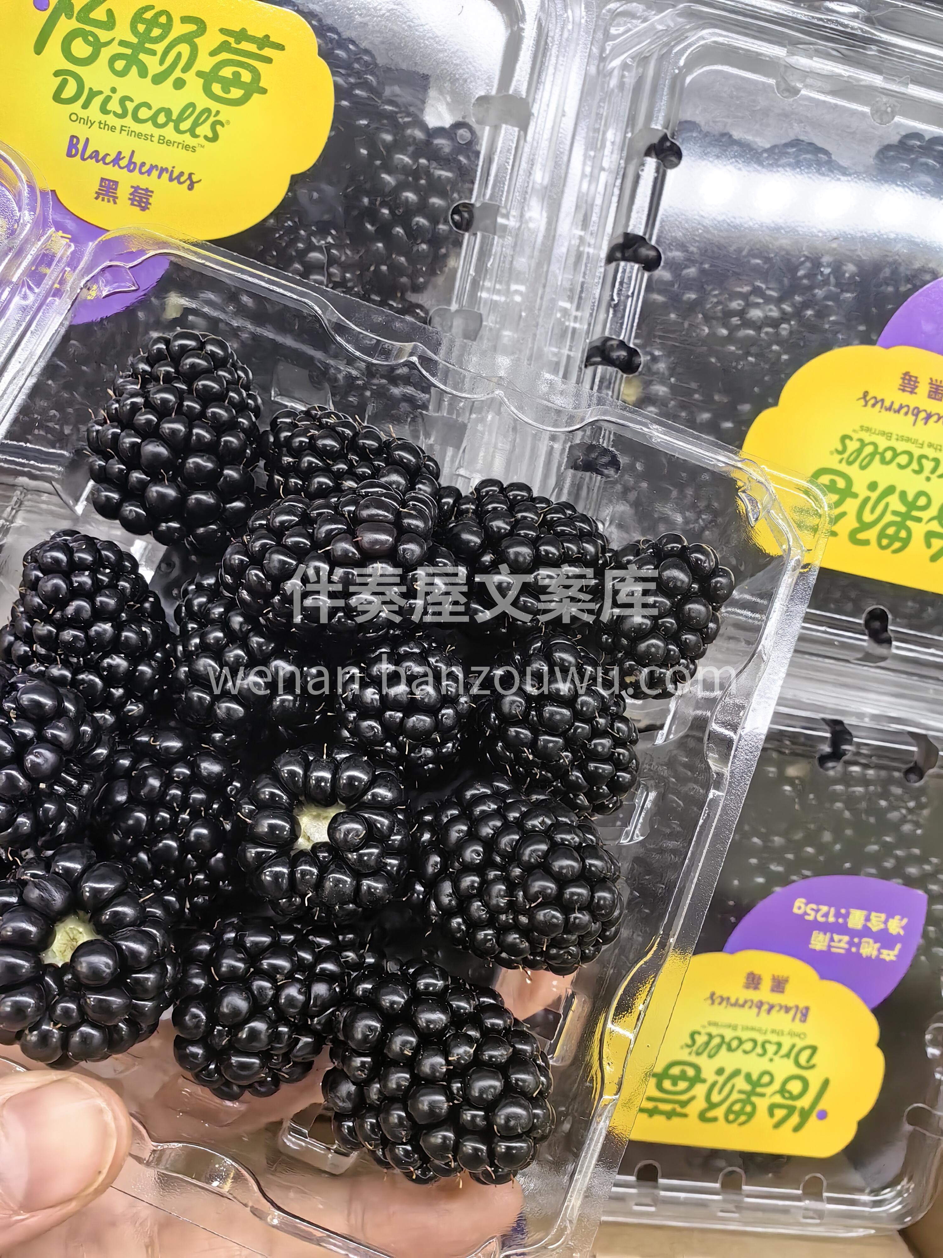营养小巨人💪。 果粒紫黑亮泽，重叠交织成 配图1