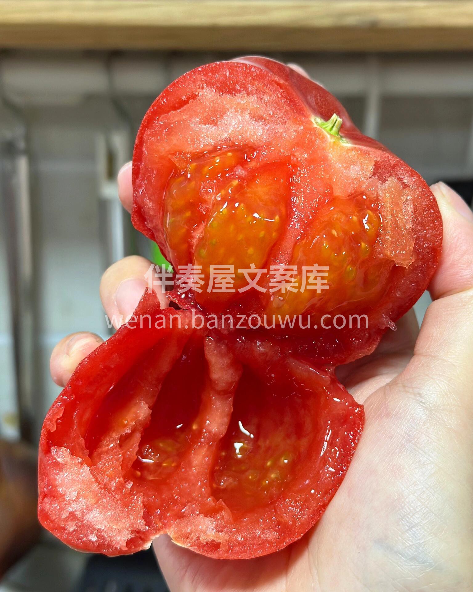 番茄中的战斗机，一口梦回童年🤤 普罗旺斯 配图2